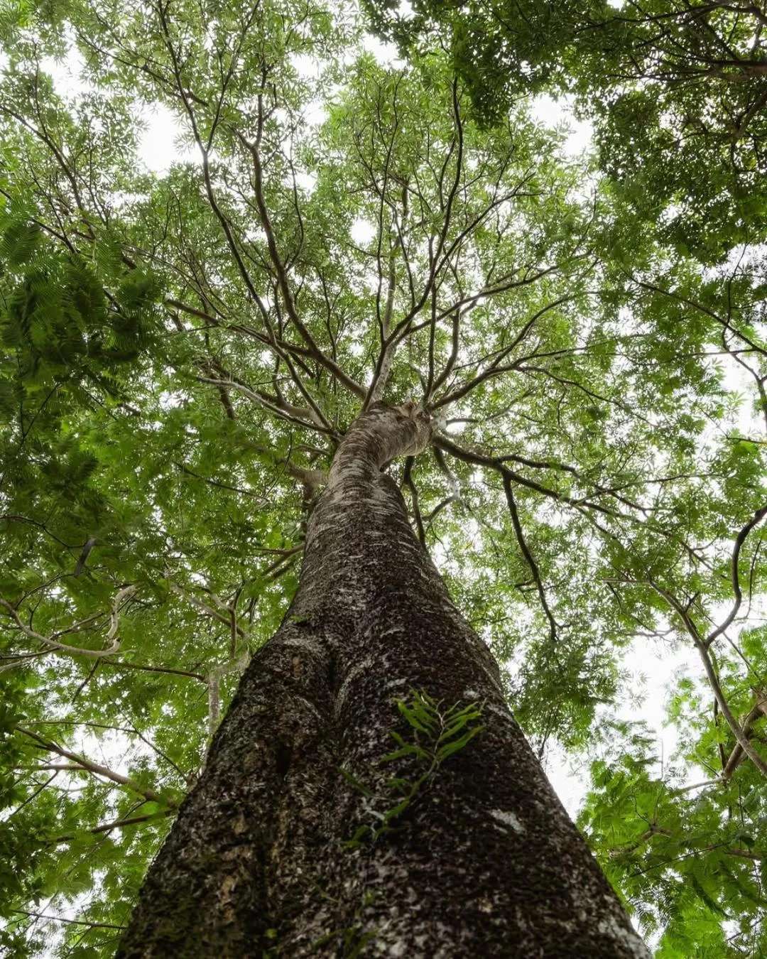 Natural landscape in Pakasai Resort