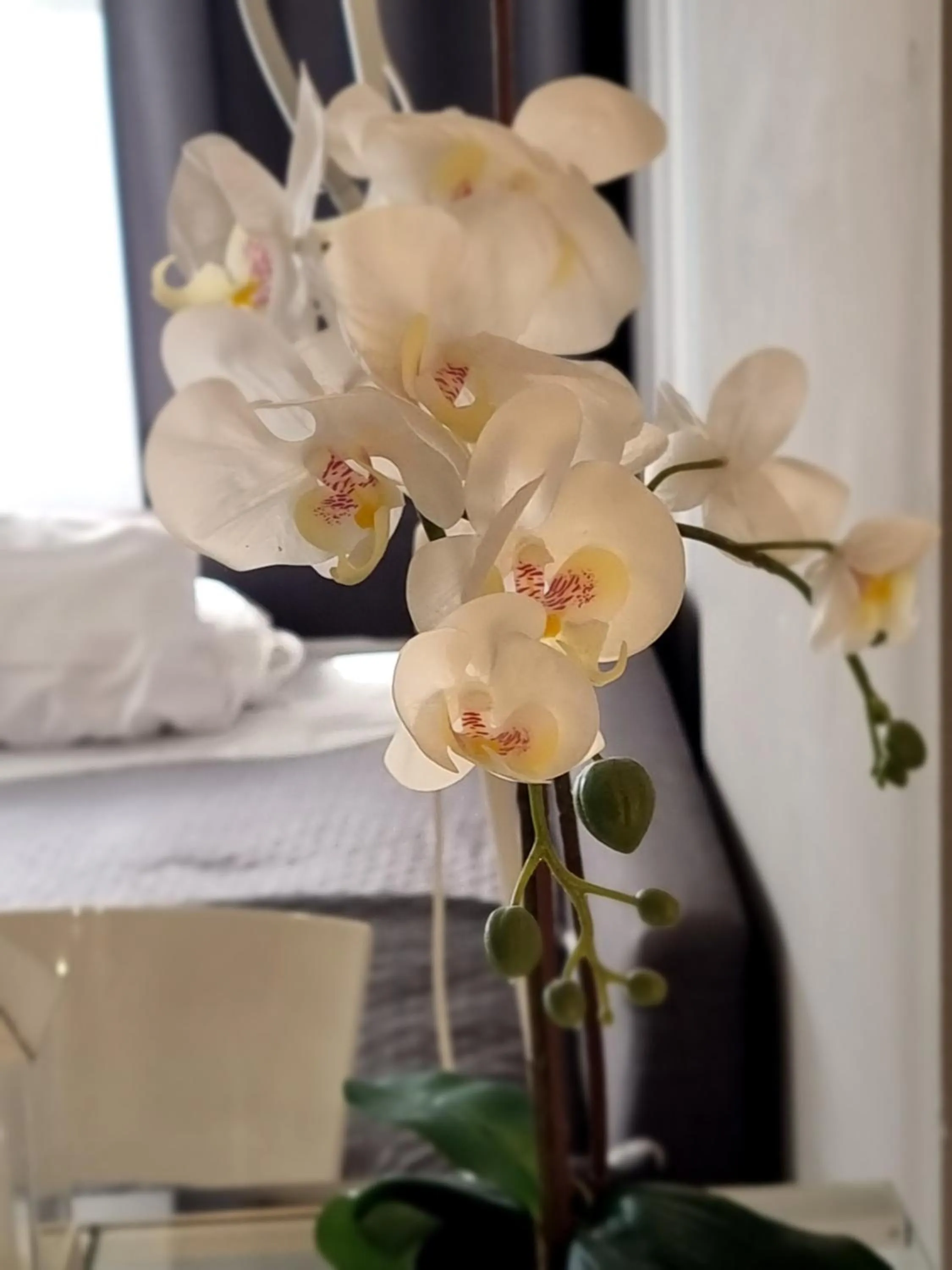 B&B Pescara Centro Luxury Suite