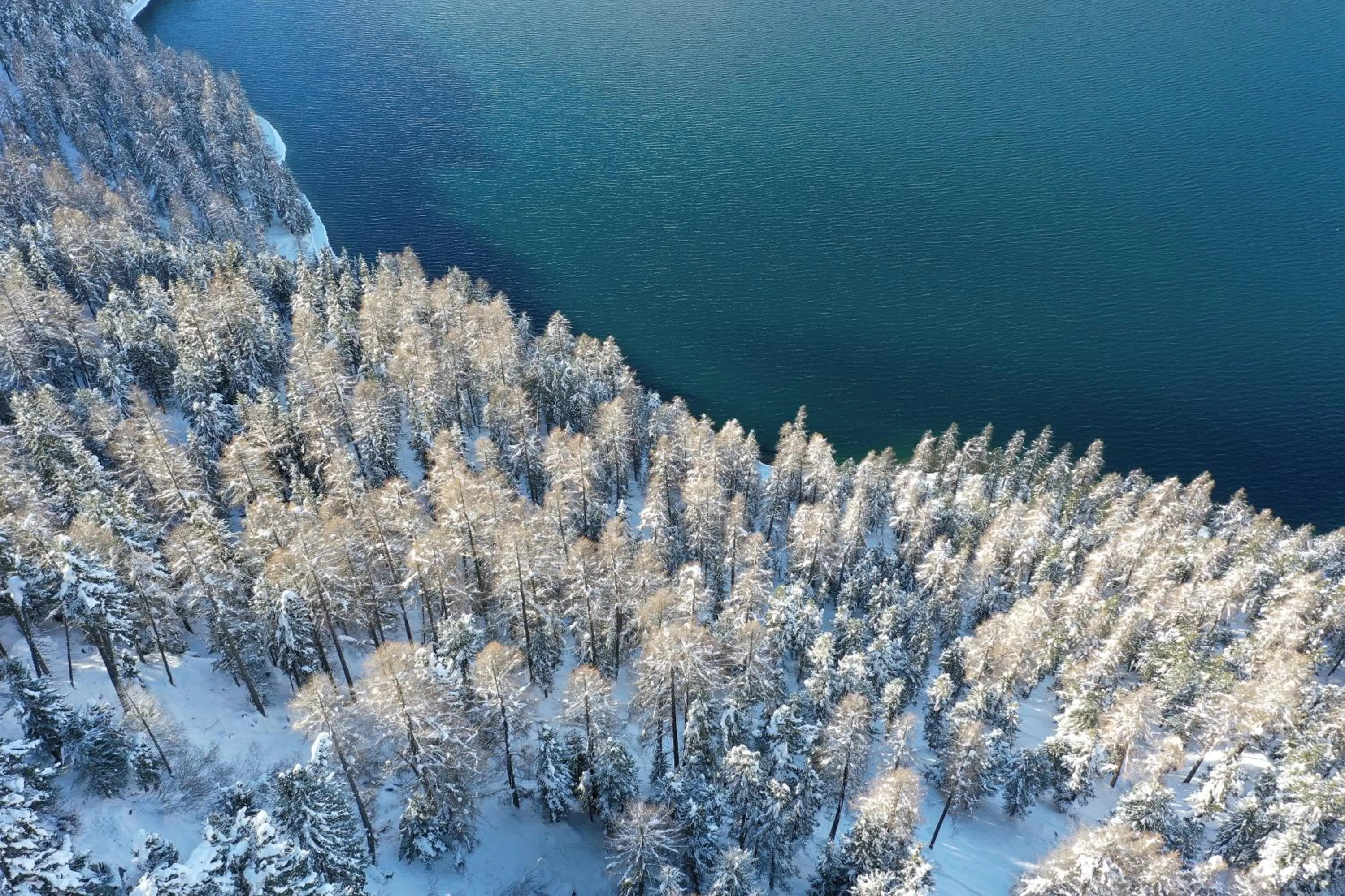 Beach in Hotel Bellavista