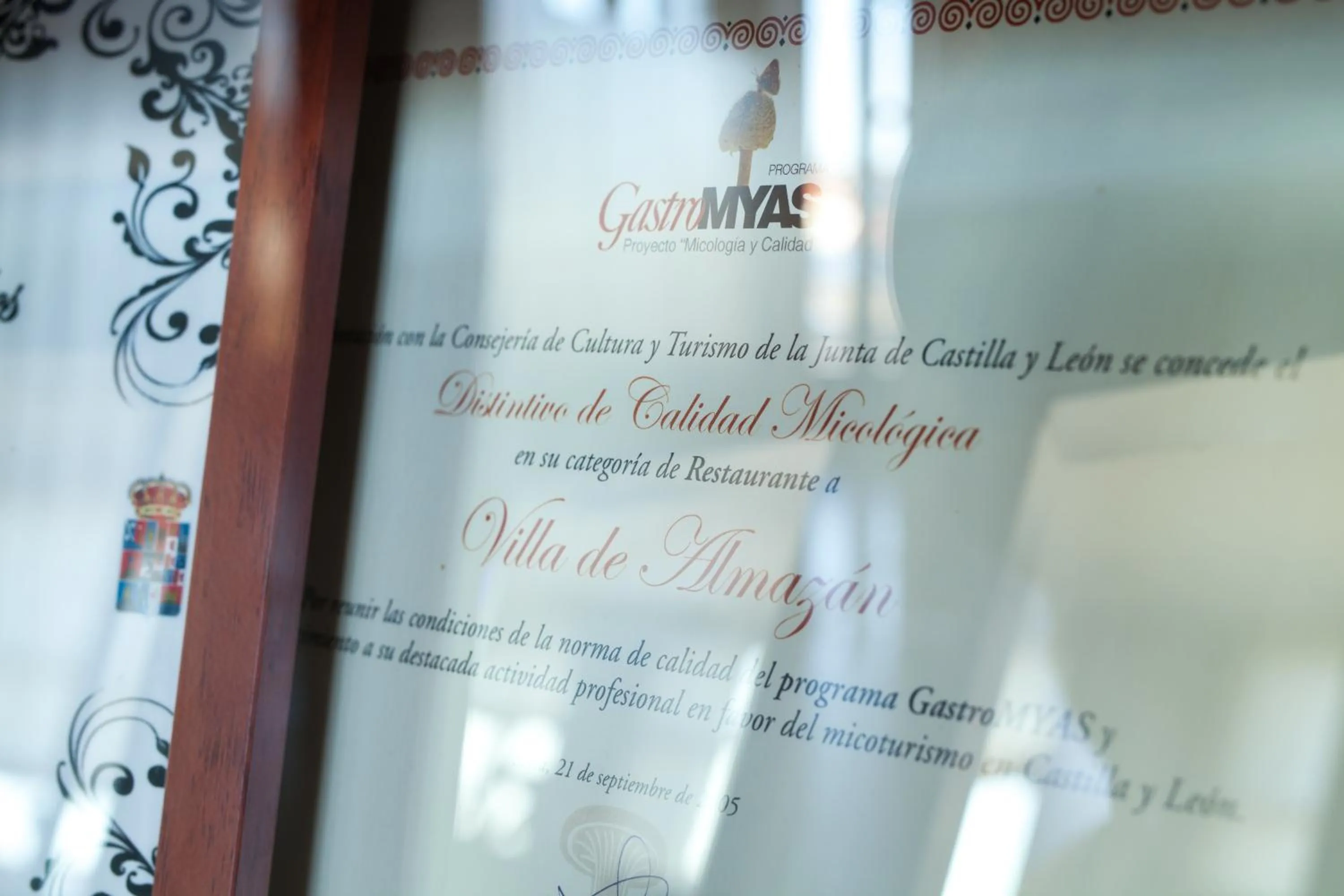Certificate/Award in Hotel Villa De Almazan