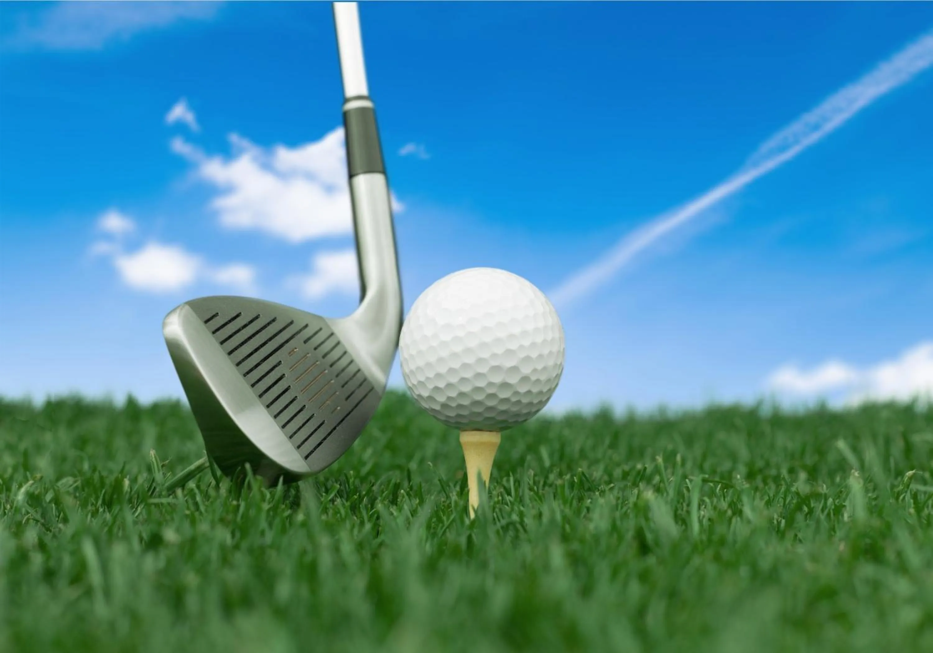 Golfcourse in Das Ostseehotel