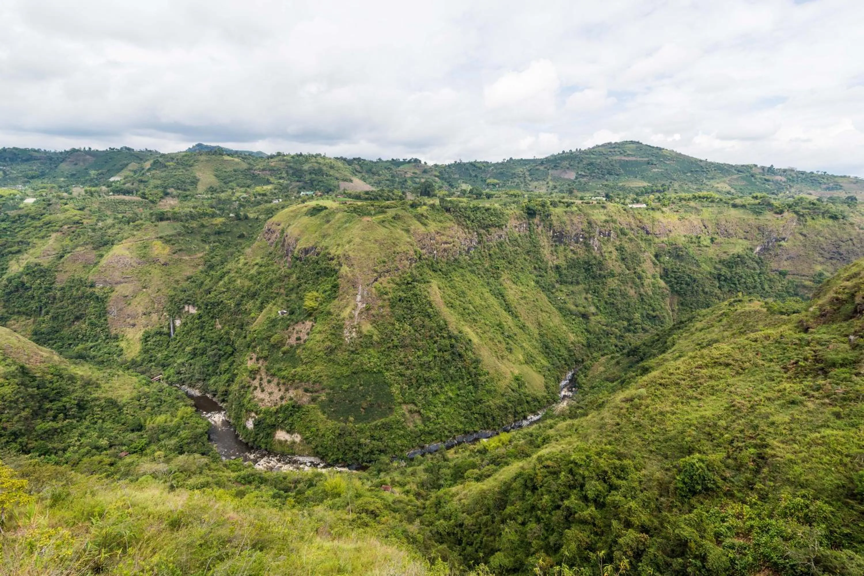 Garden view in Ceiba by Masaya Collection