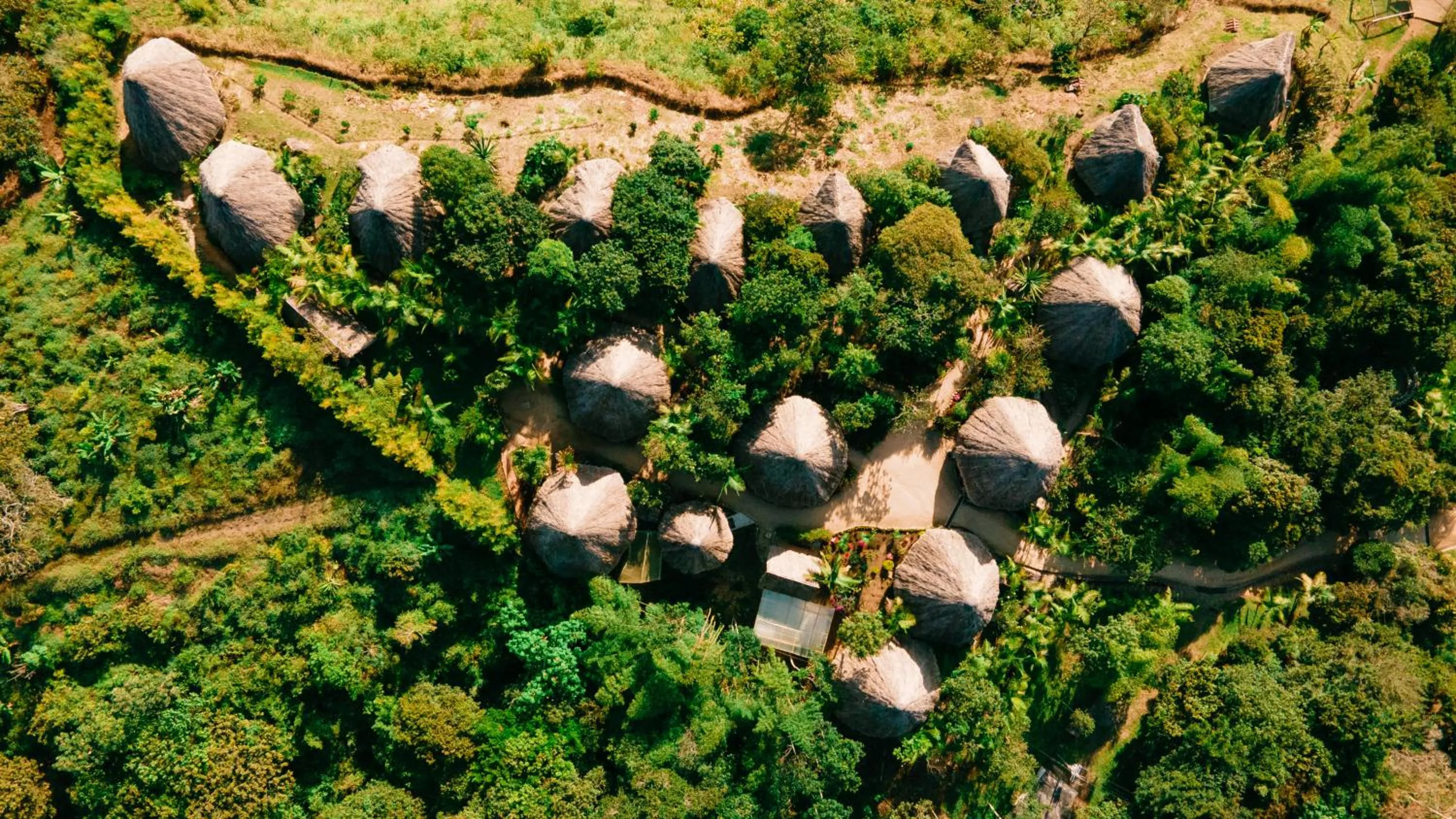 Ceiba by Masaya Collection