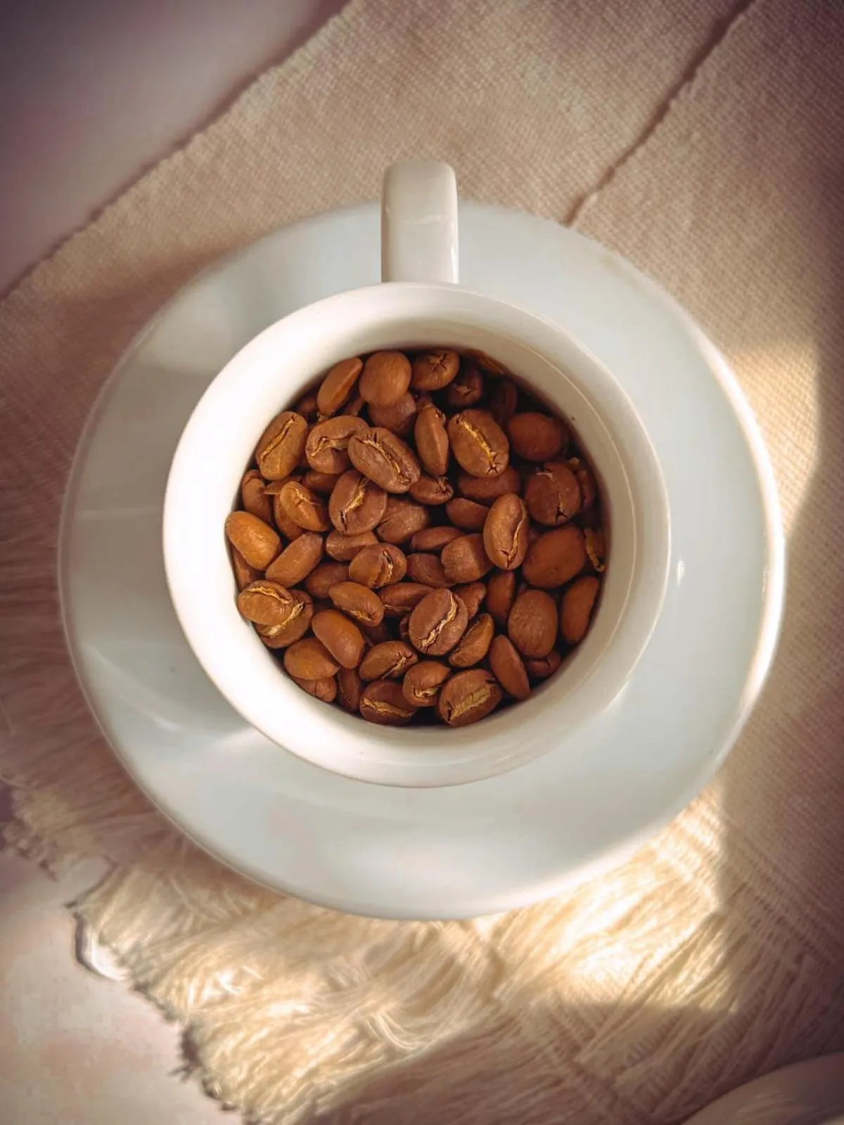 Ceiba by Masaya Collection