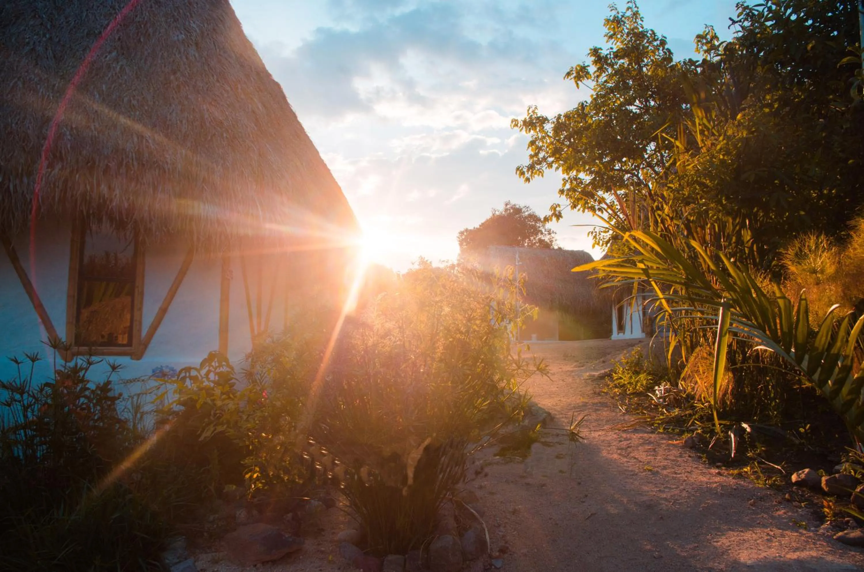 Sunrise in Ceiba by Masaya Collection