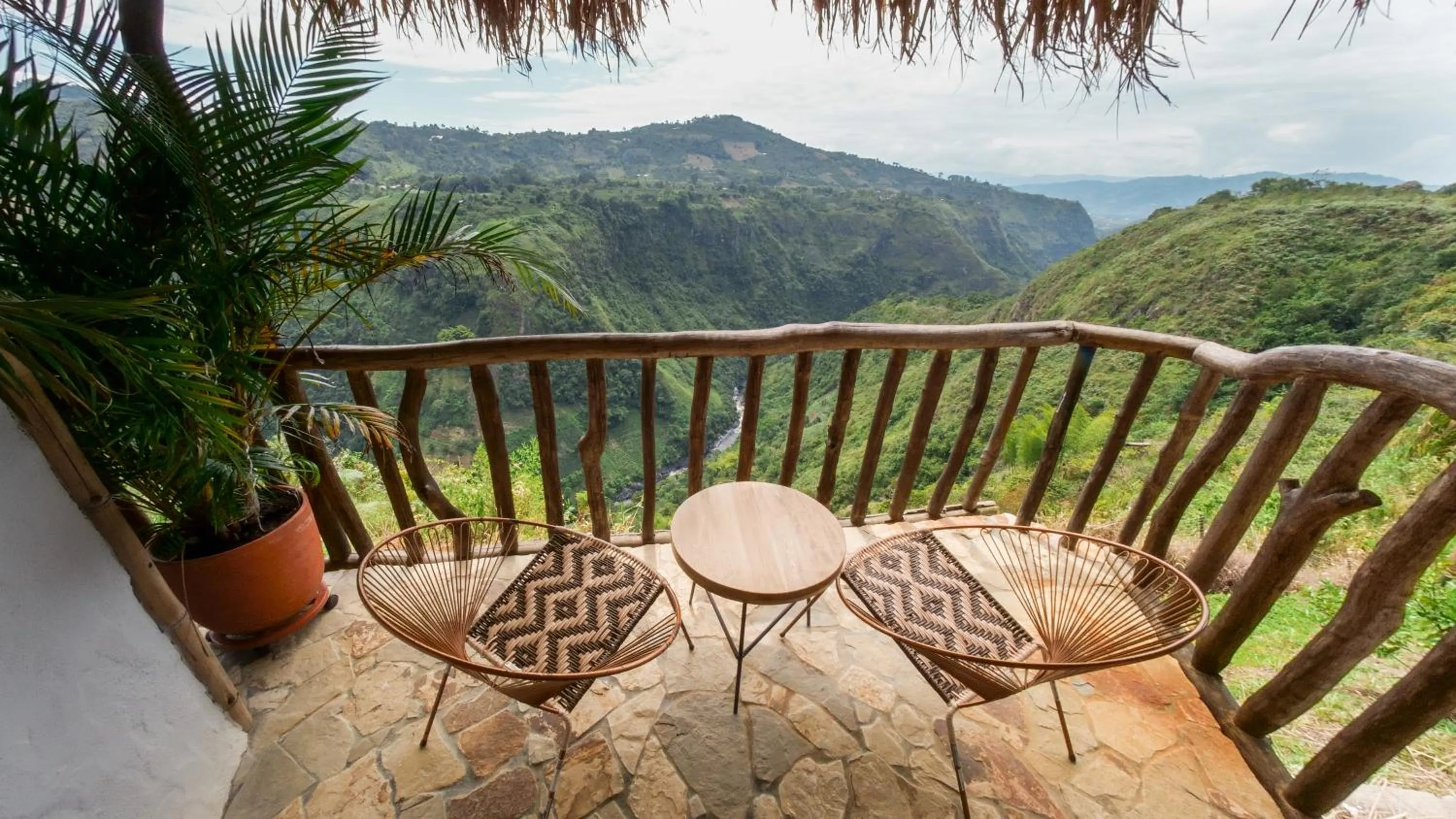 Ceiba by Masaya Collection