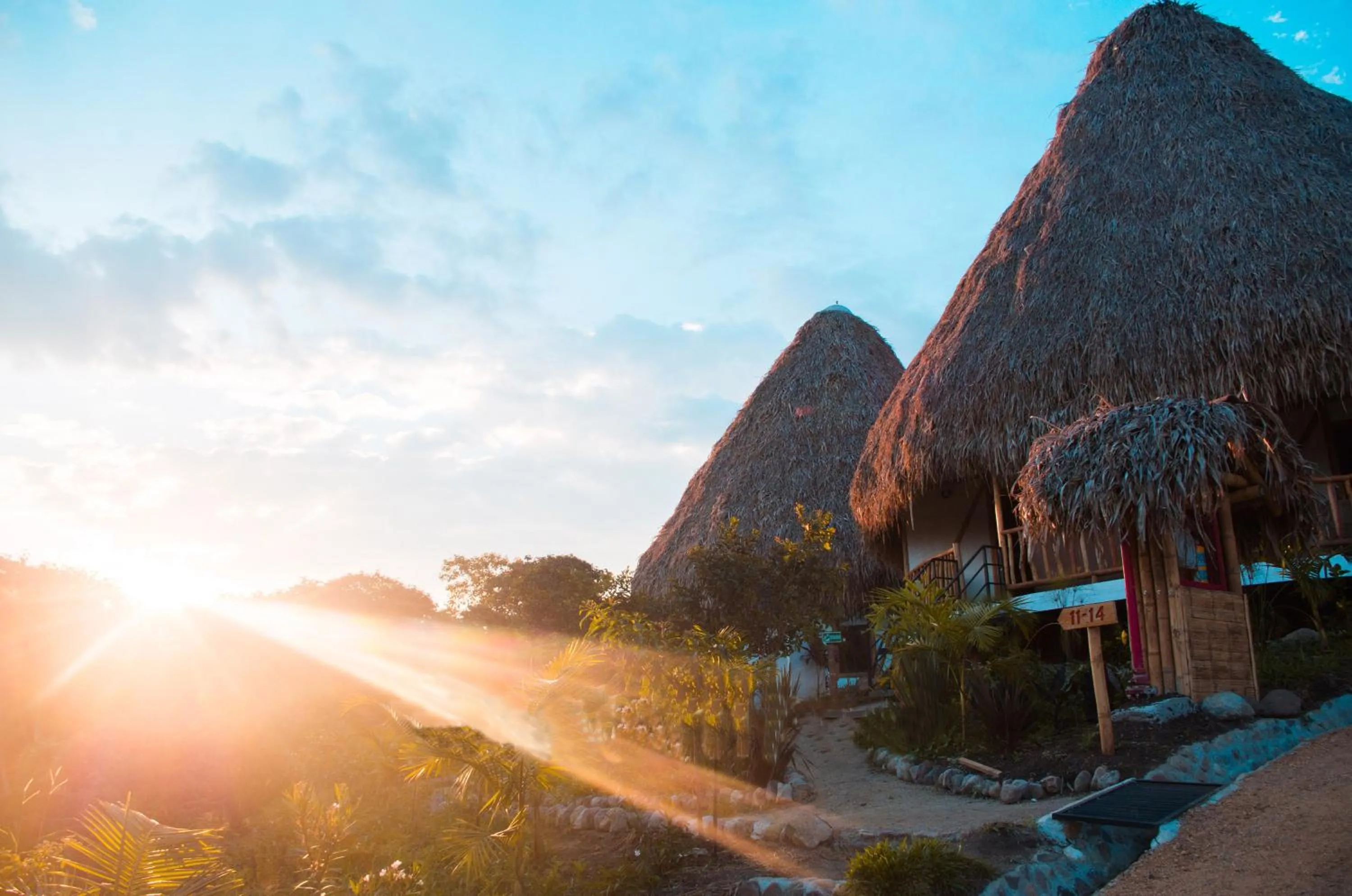 Garden in Ceiba by Masaya Collection