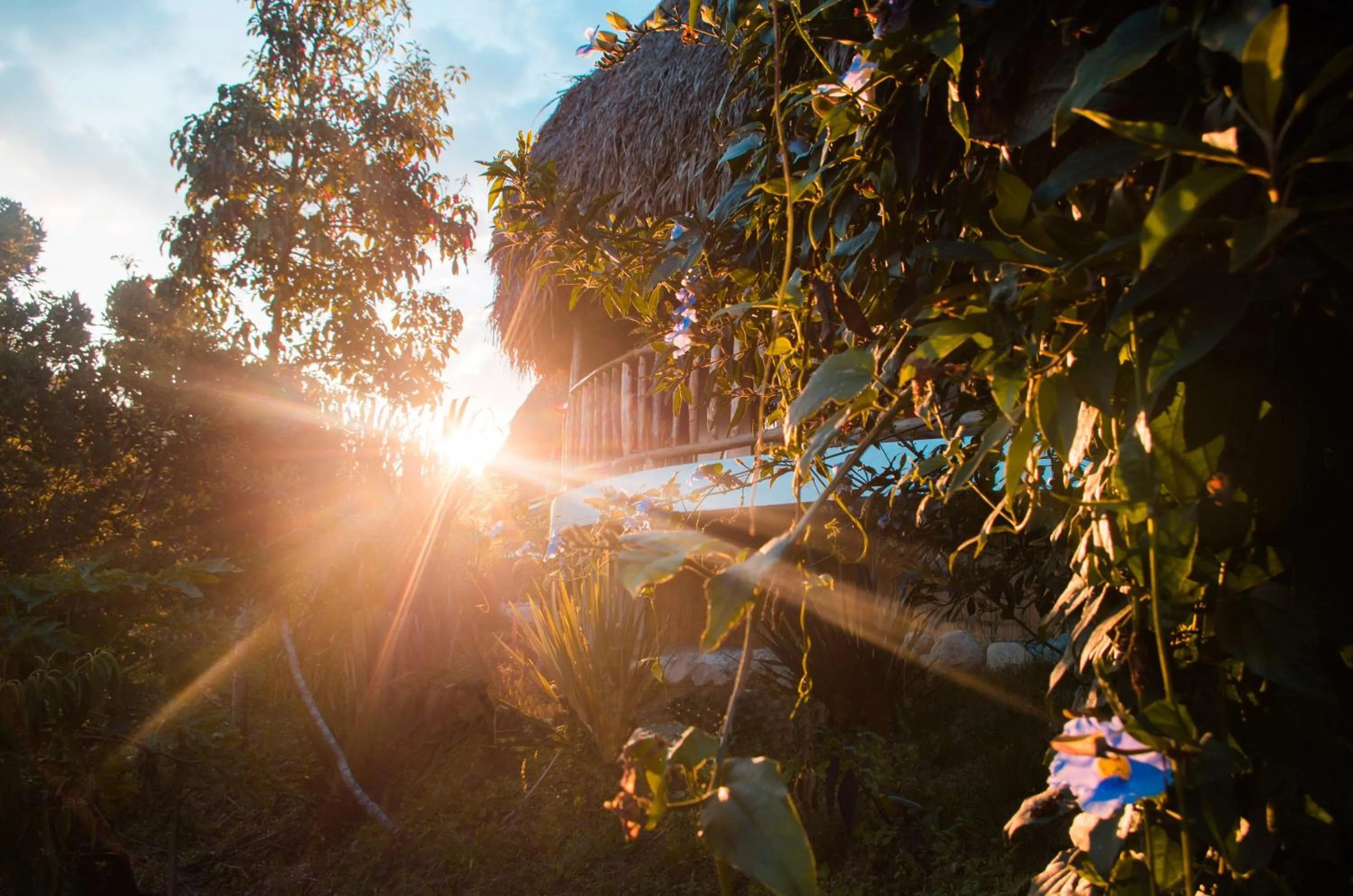 Garden in Ceiba by Masaya Collection