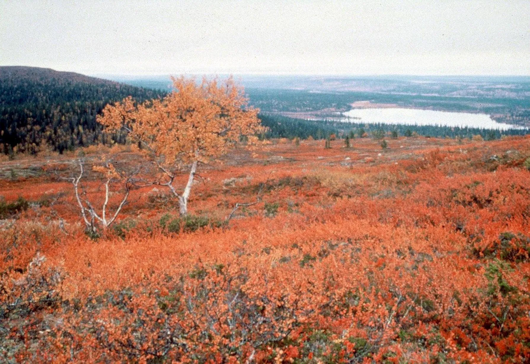 Area and facilities in Hotel Tulikettu