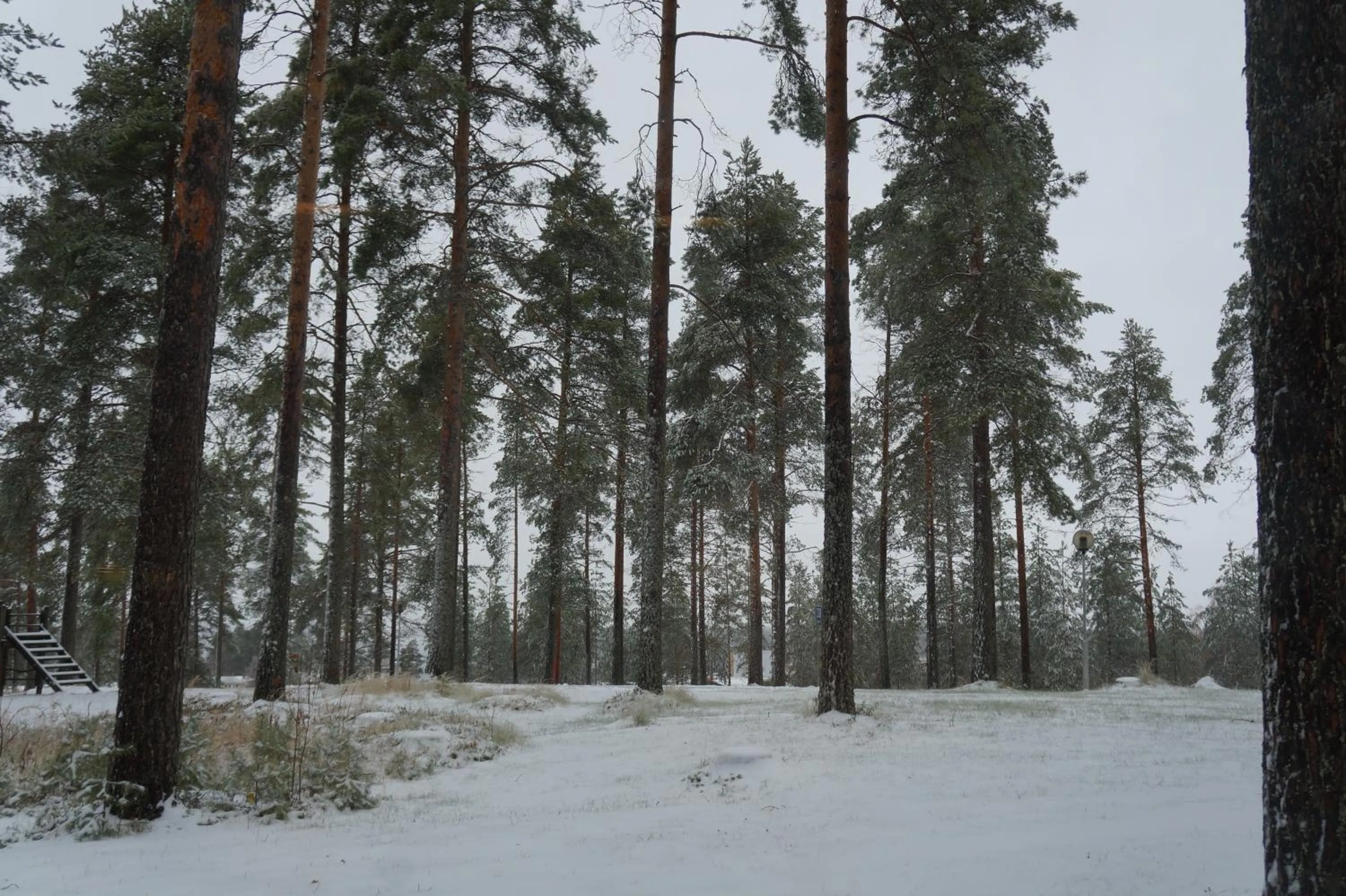 Natural landscape in Hotel Tulikettu