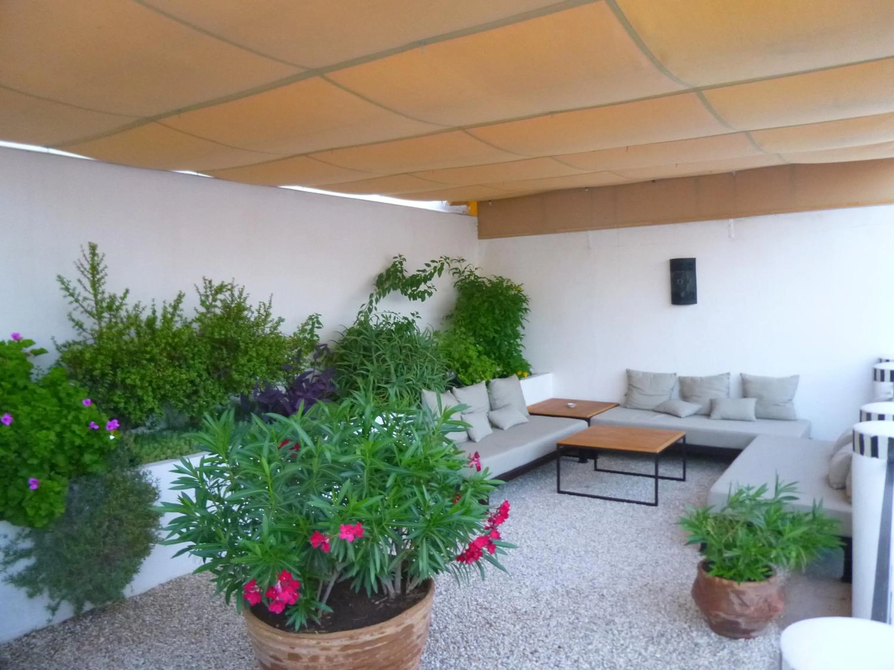 Balcony/Terrace in Riad Tchina