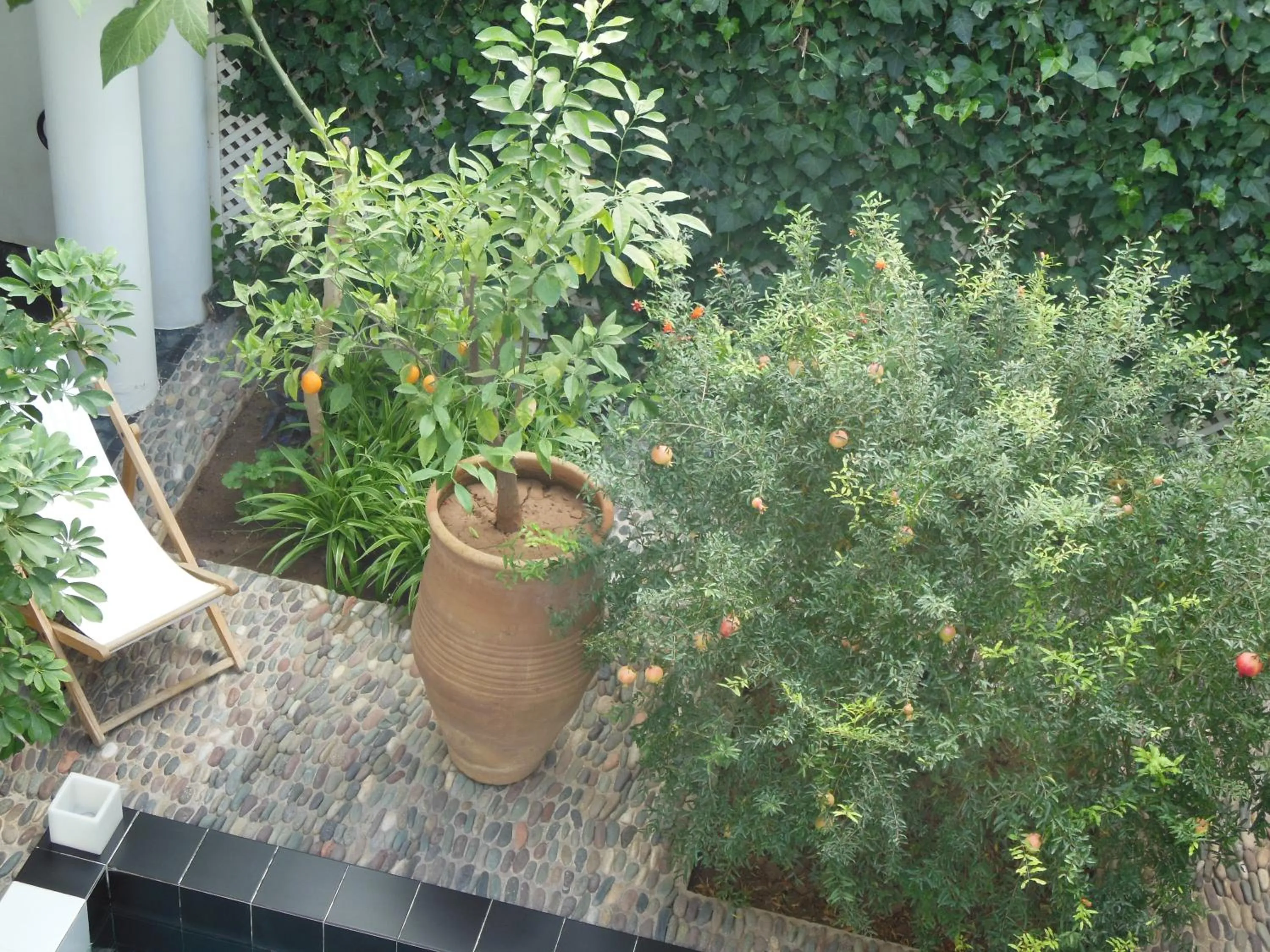 View (from property/room) in Riad Tchina