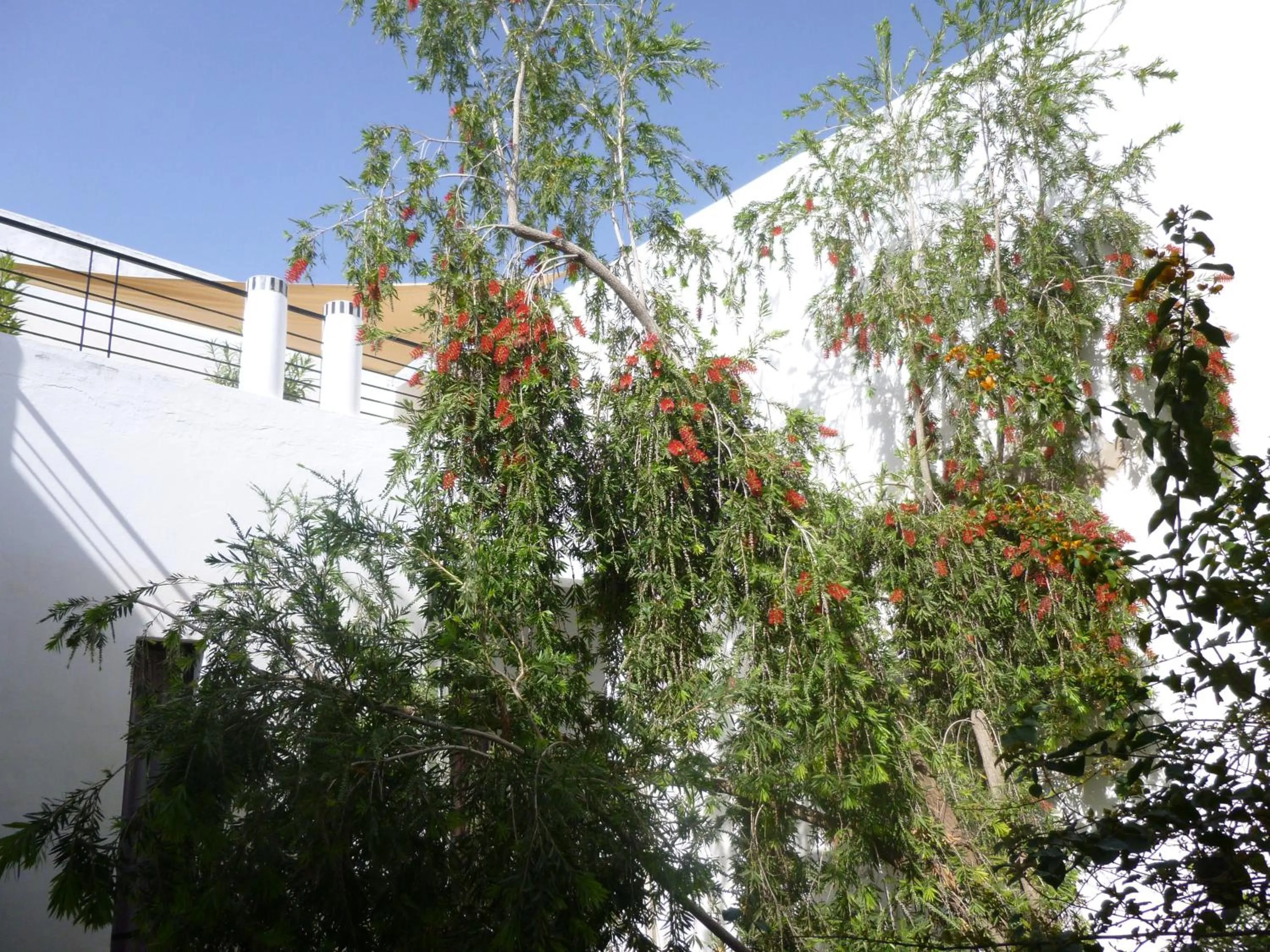 View (from property/room) in Riad Tchina