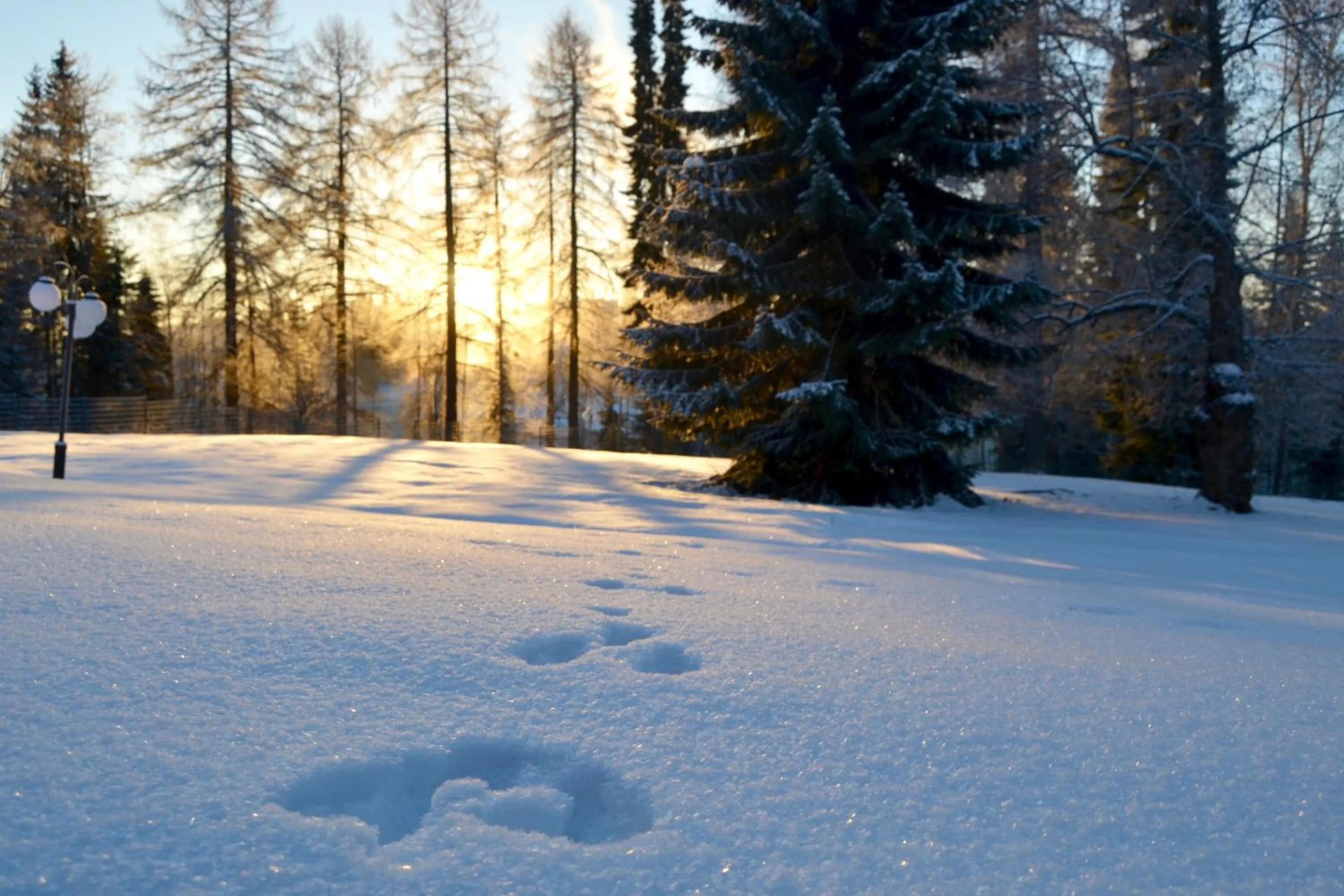 Natural landscape in Karolineburg Manor House Hotel
