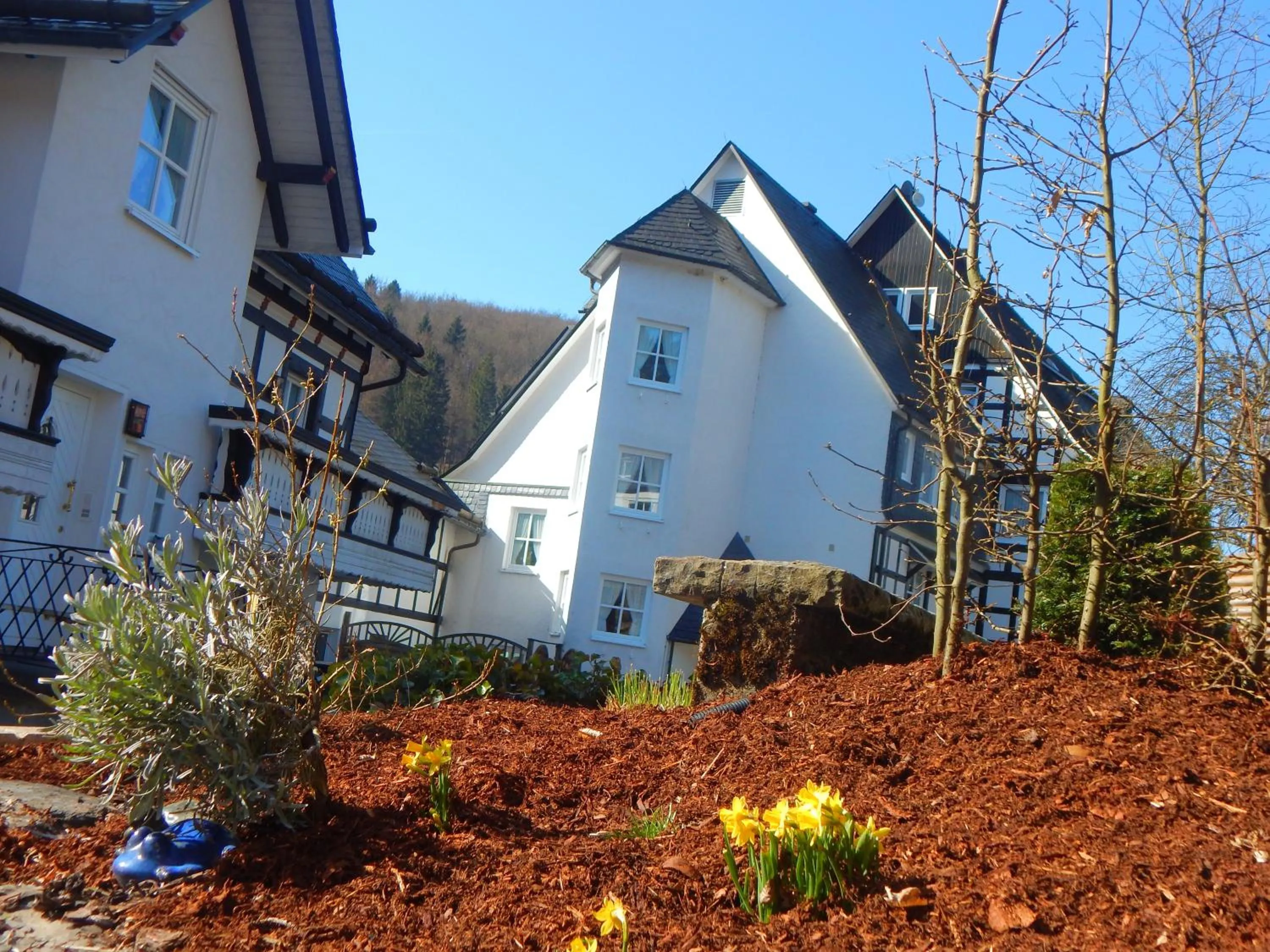 Spring in Hotel & Gasthof Hubertushöhe - Ihr Hotel für Urlaub mit Hund