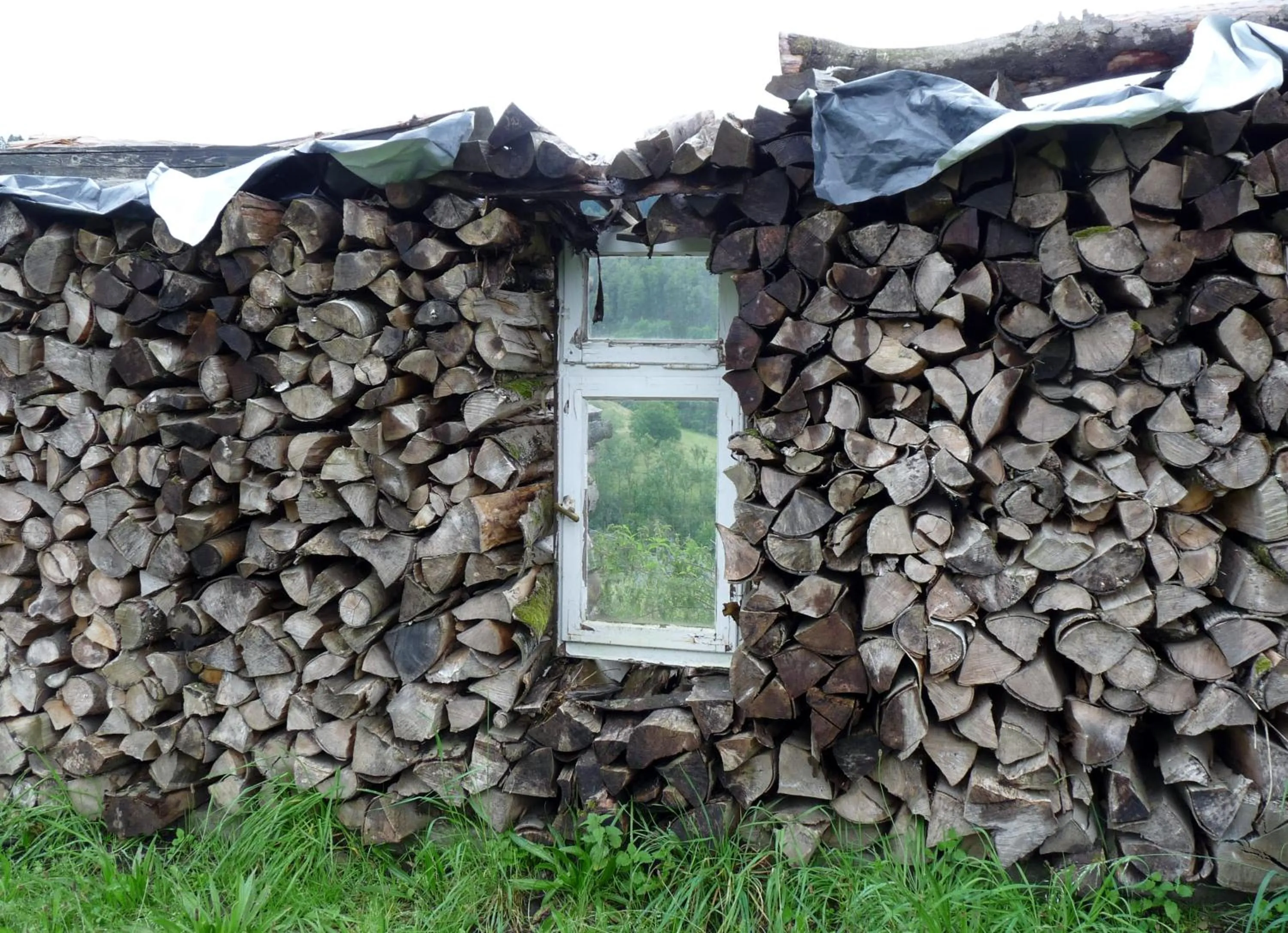 Hiking in Hotel & Gasthof Hubertushöhe - Ihr Hotel für Urlaub mit Hund