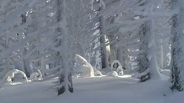 Area and facilities in Hotel Gasthof Brüggler