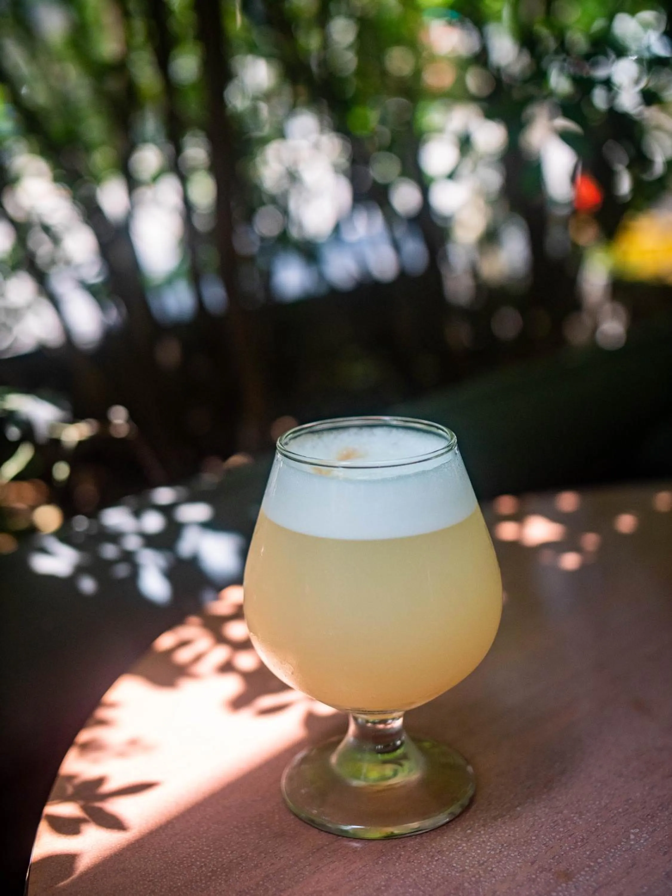 Lounge or bar in San Agustin Exclusive