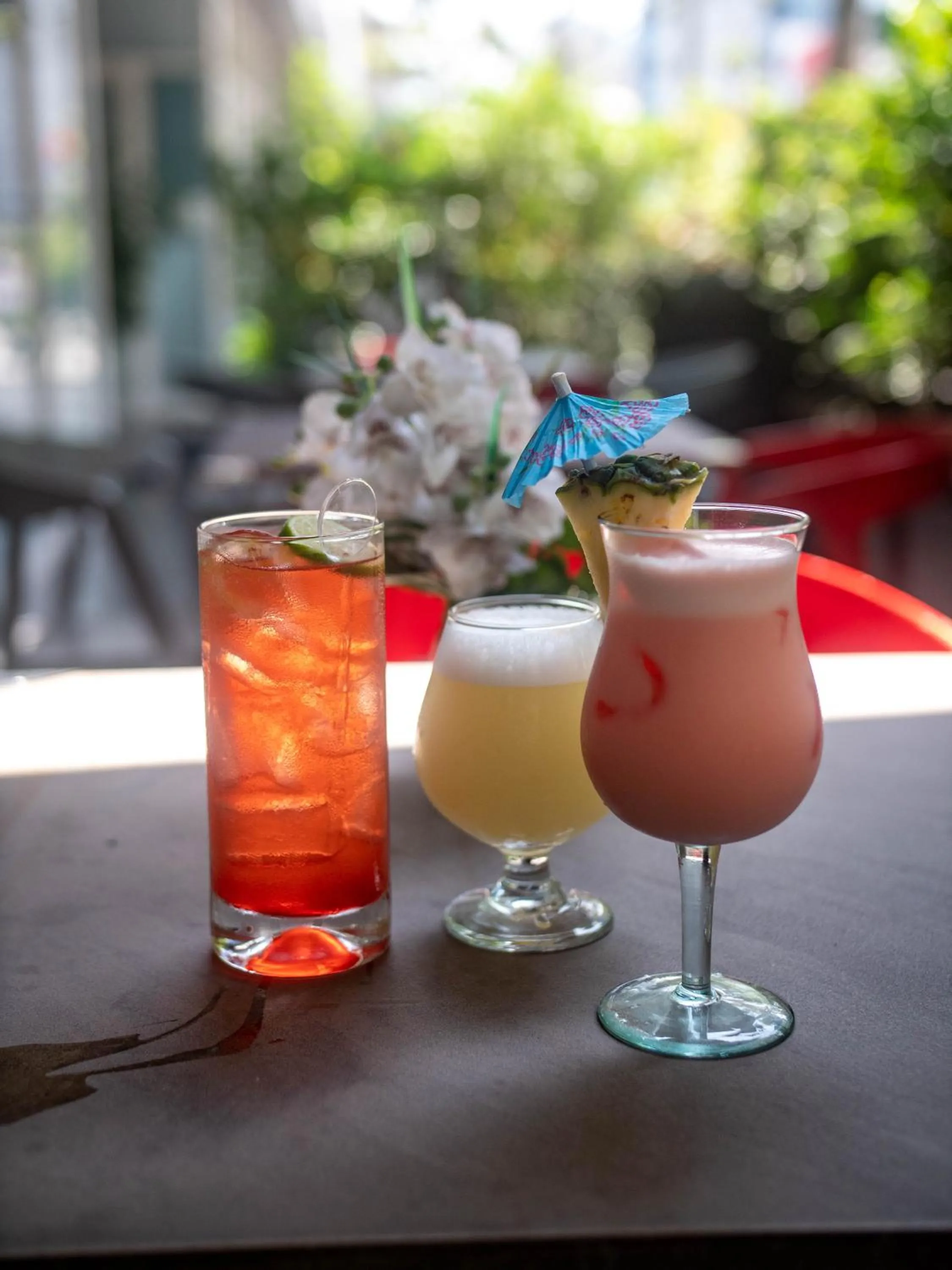 Lounge or bar in San Agustin Exclusive