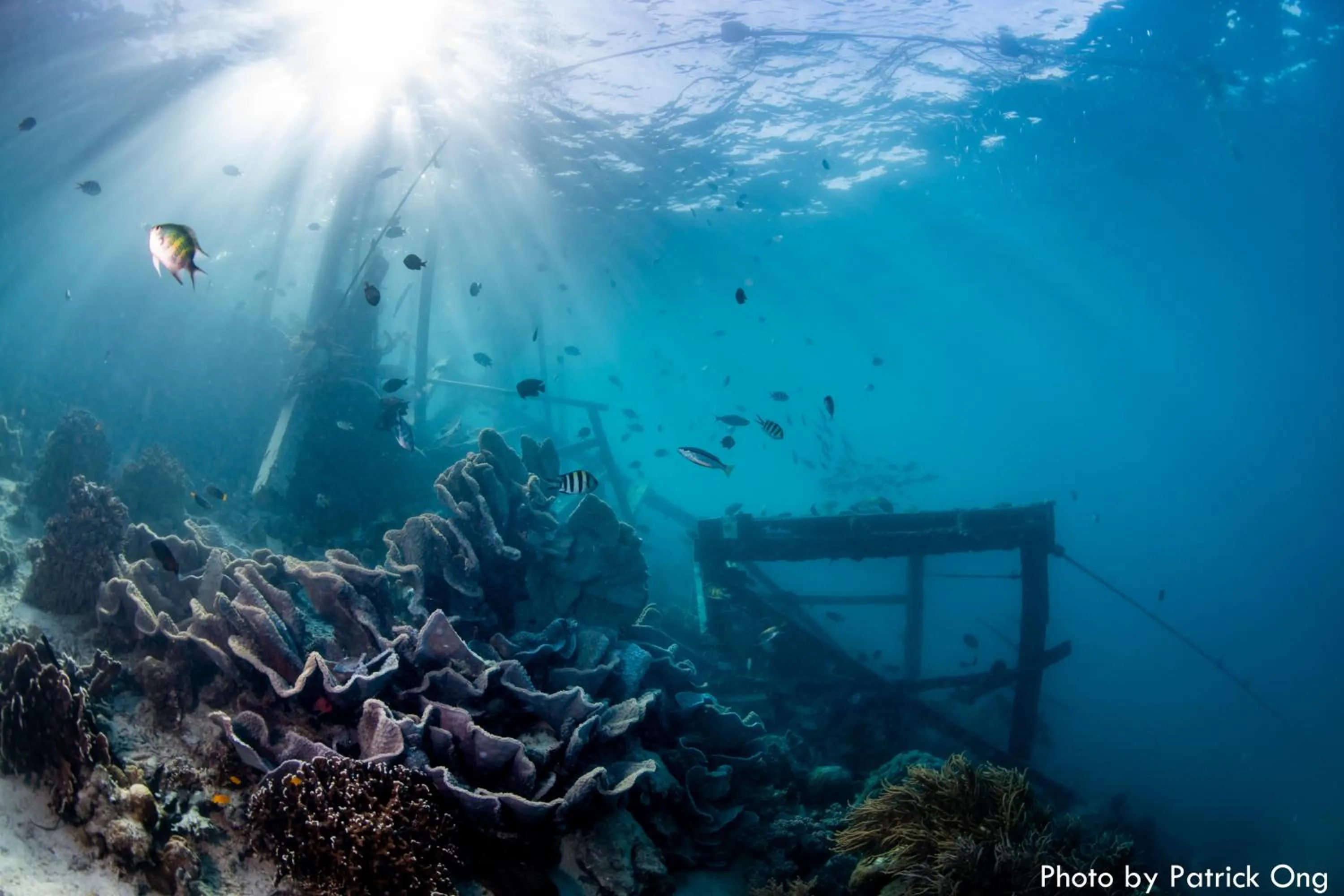 Borneo Divers Mabul Resort