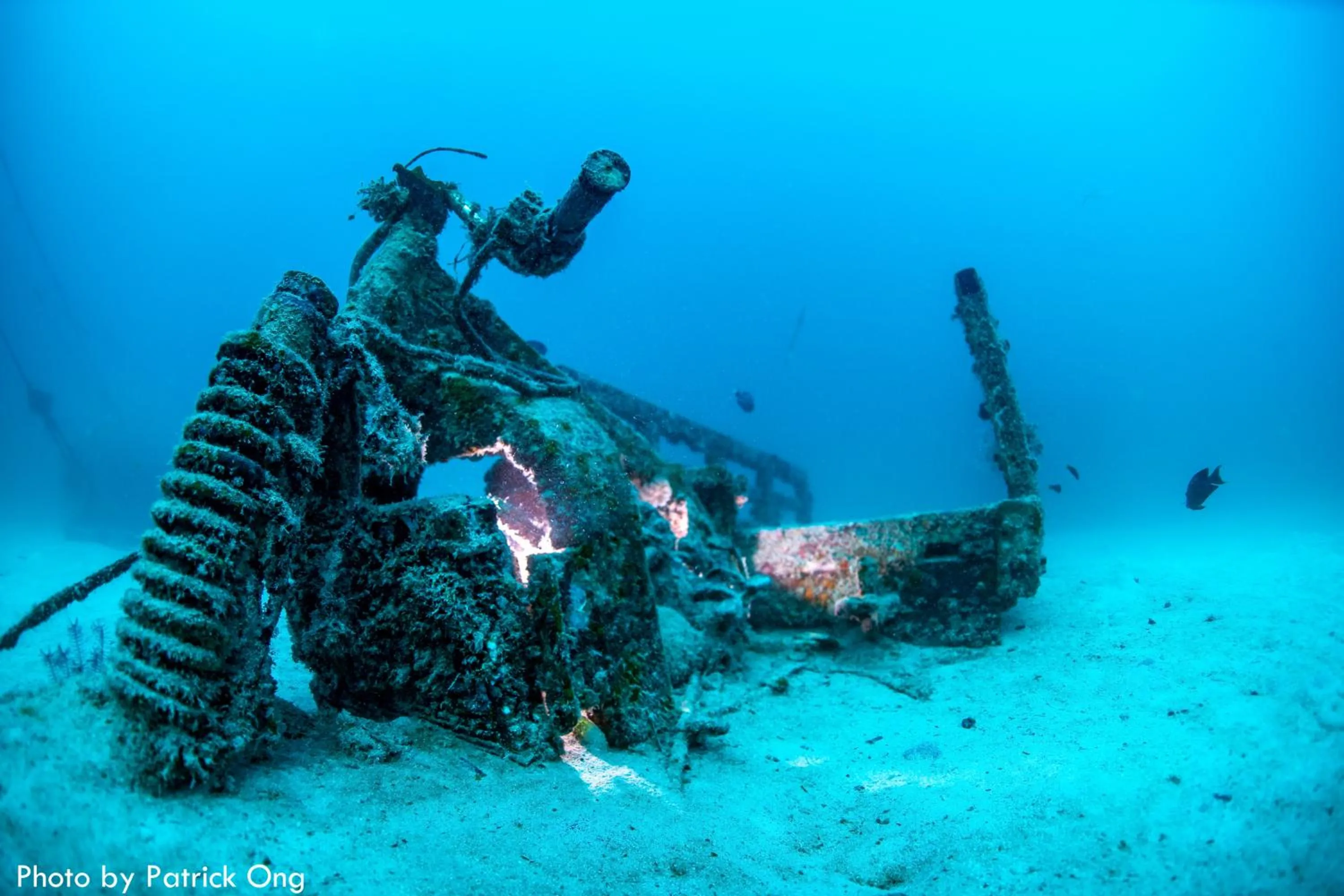 Borneo Divers Mabul Resort