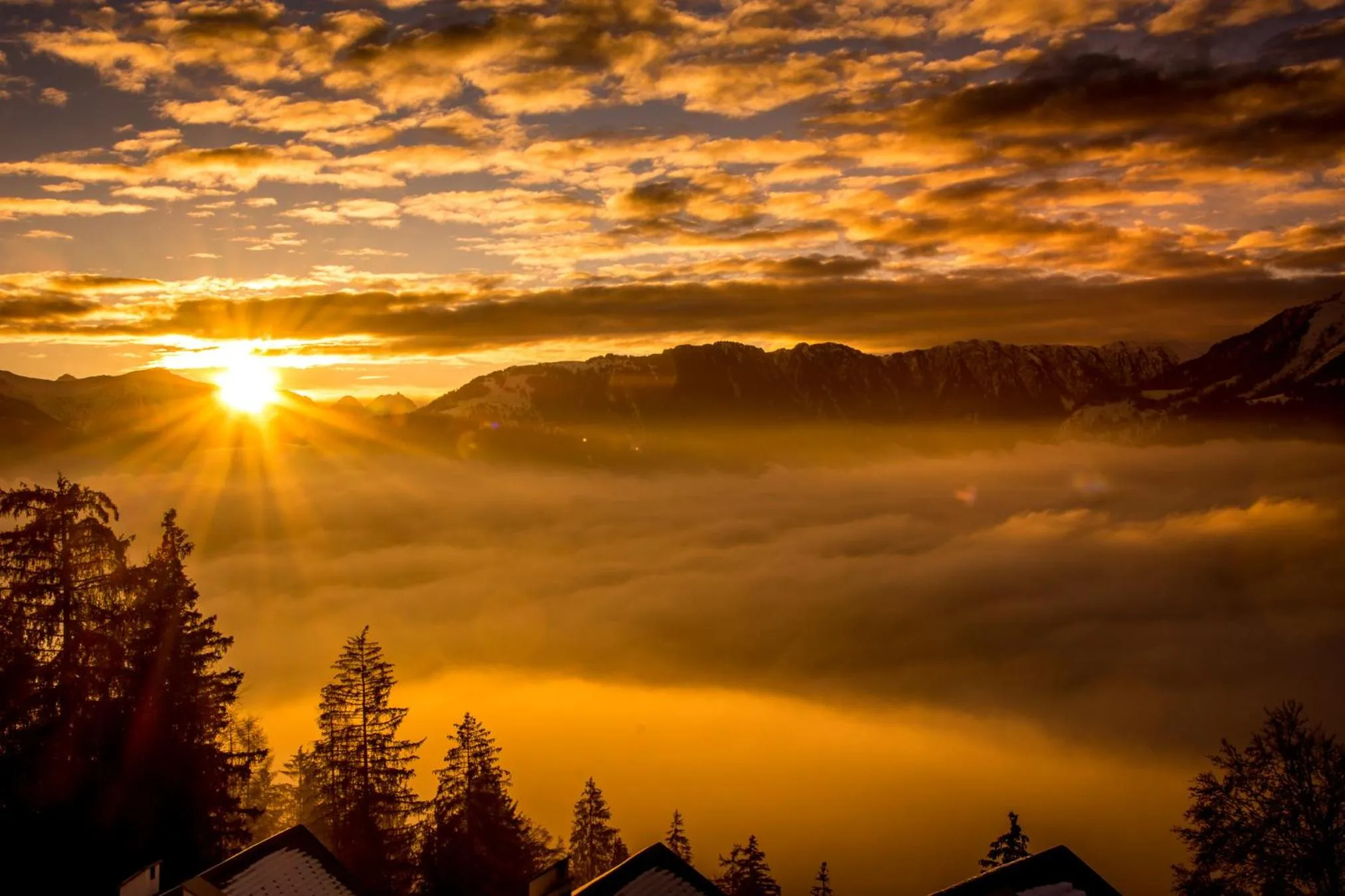 View (from property/room) in FidazerHof