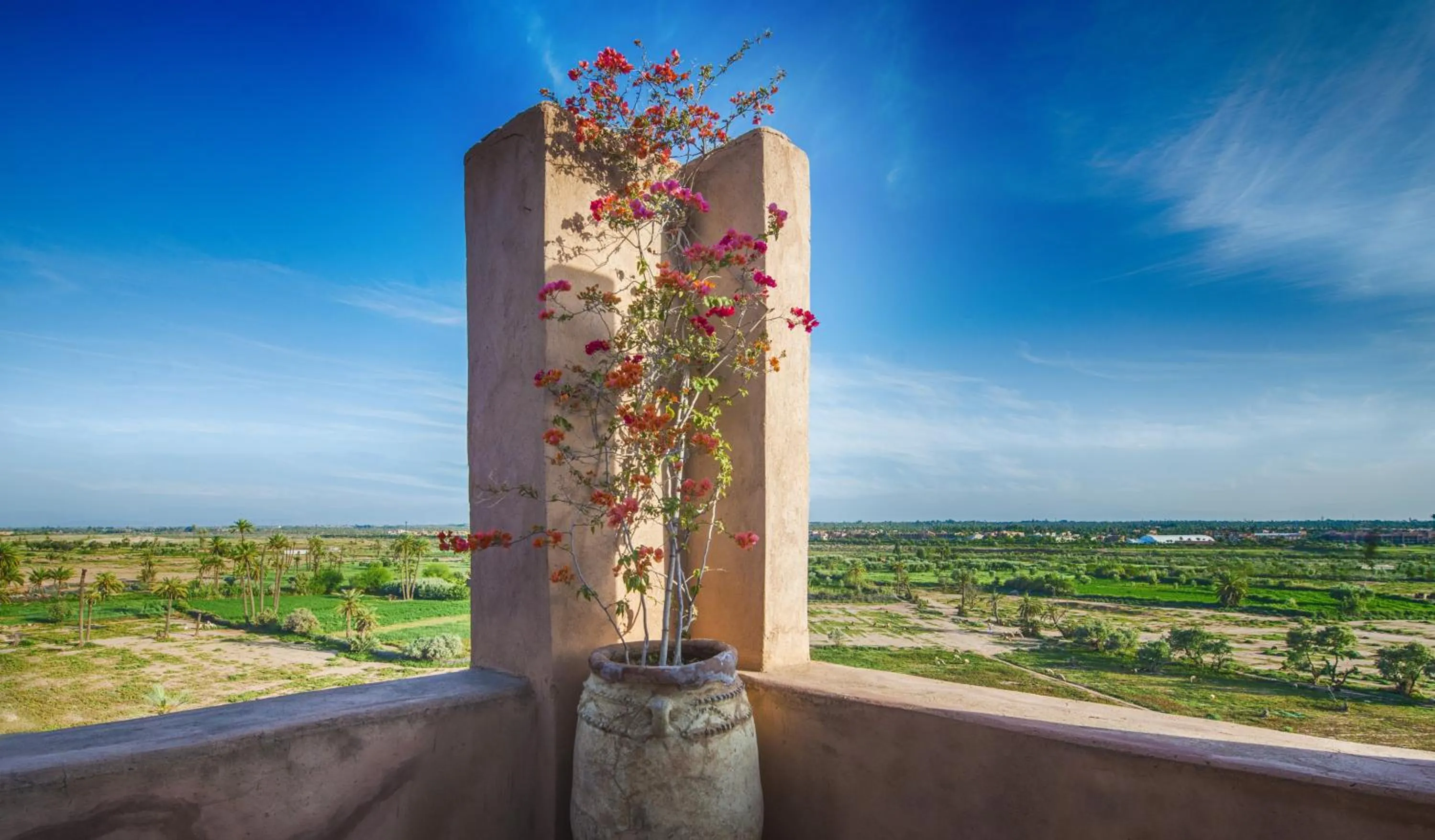 View (from property/room) in Caravan Serai