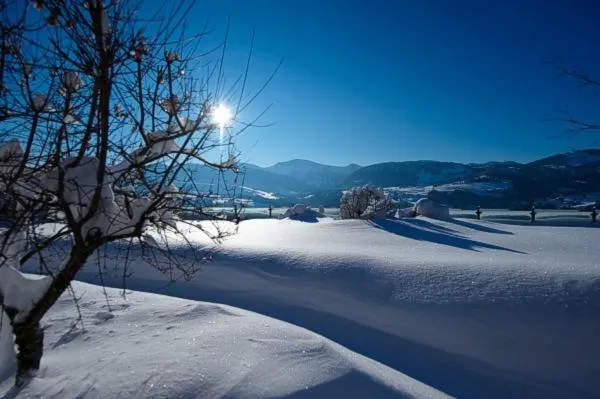 Other in Gasthof zum Hirsch