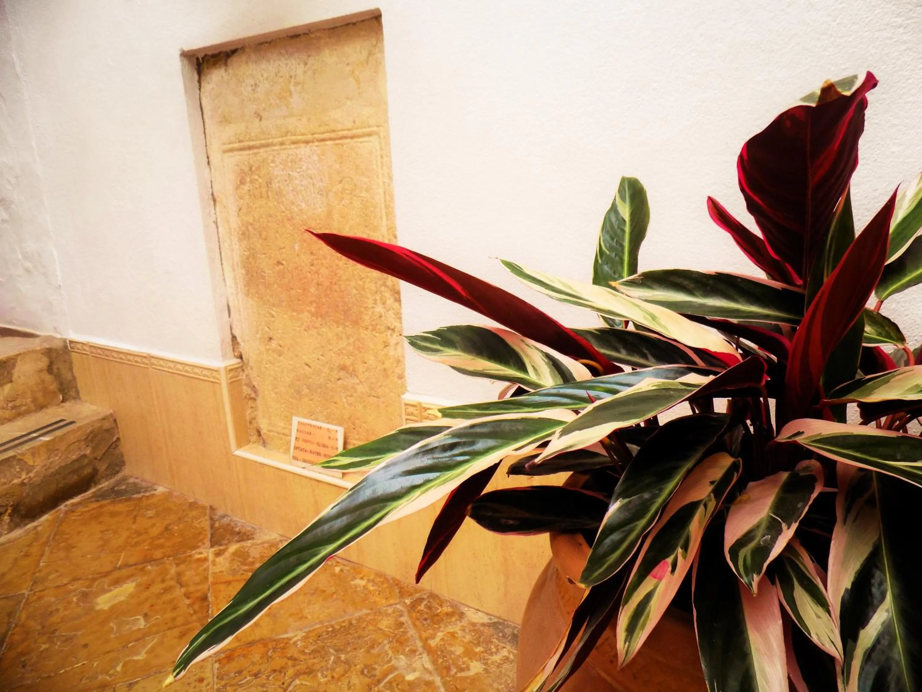 Patio in Casa Campana