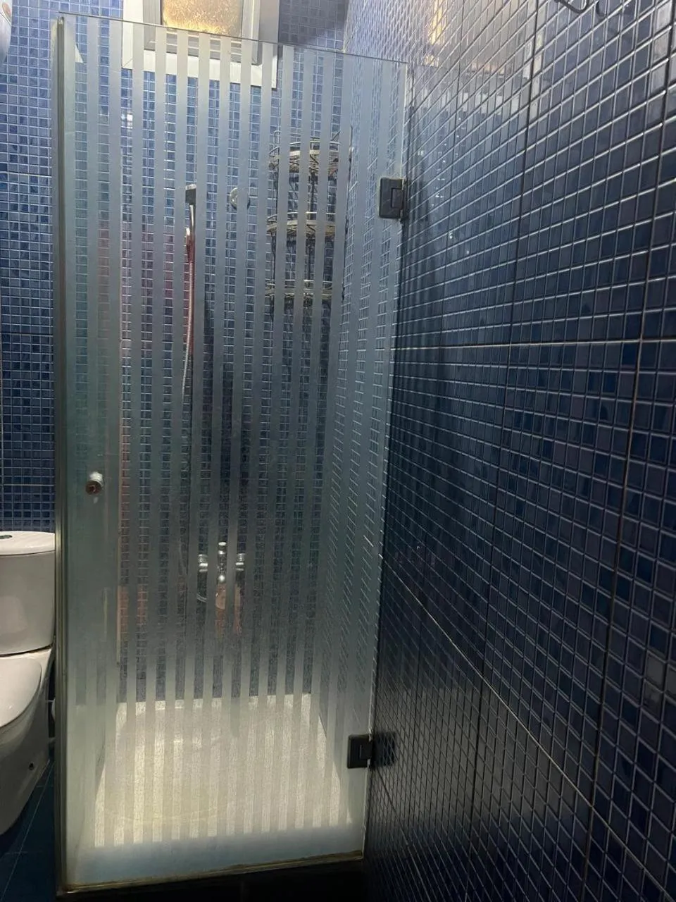 Shower in Golden Hotel Cairo