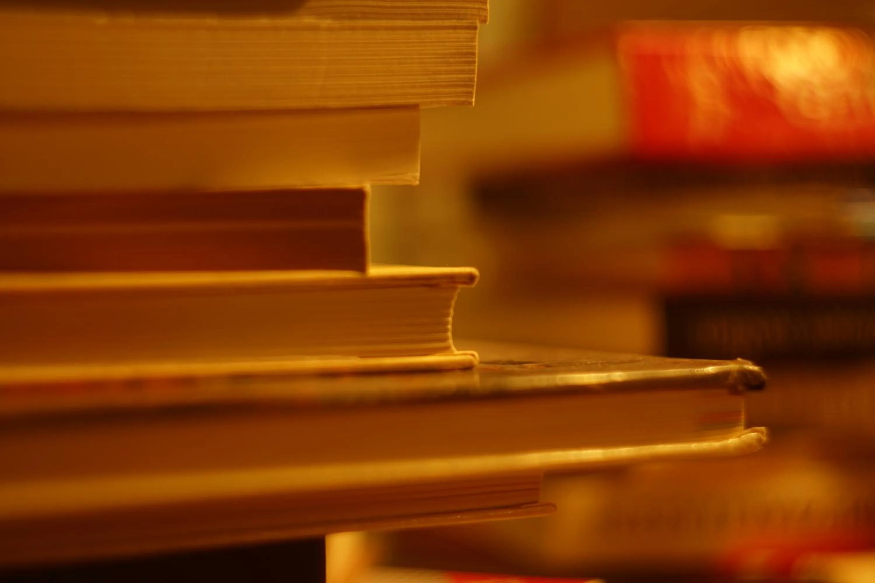 Lobby or reception in Hotel Bett und Buch