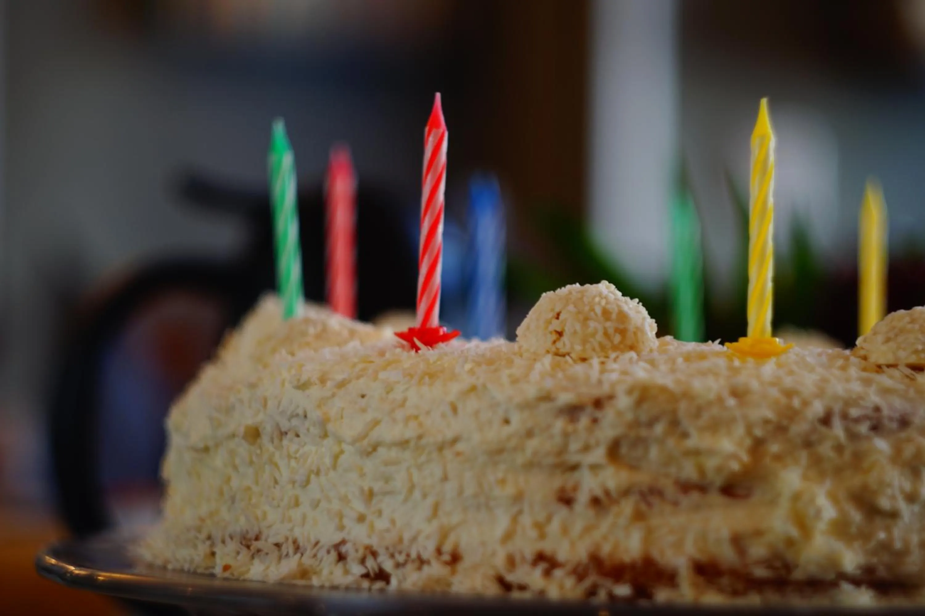 Food and drinks in Hotel Bett und Buch