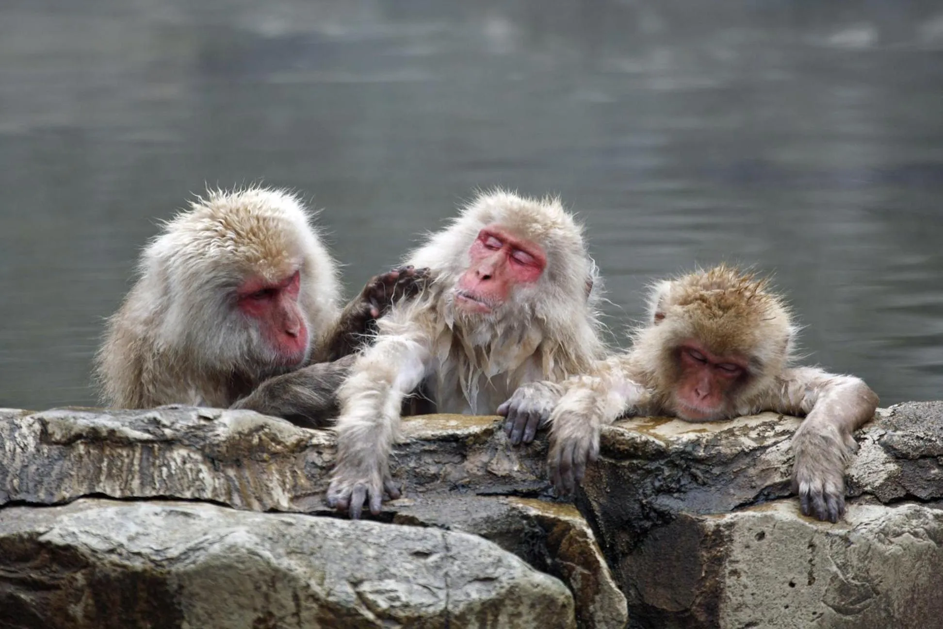 Nearby landmark in Yudanaka Seifuso