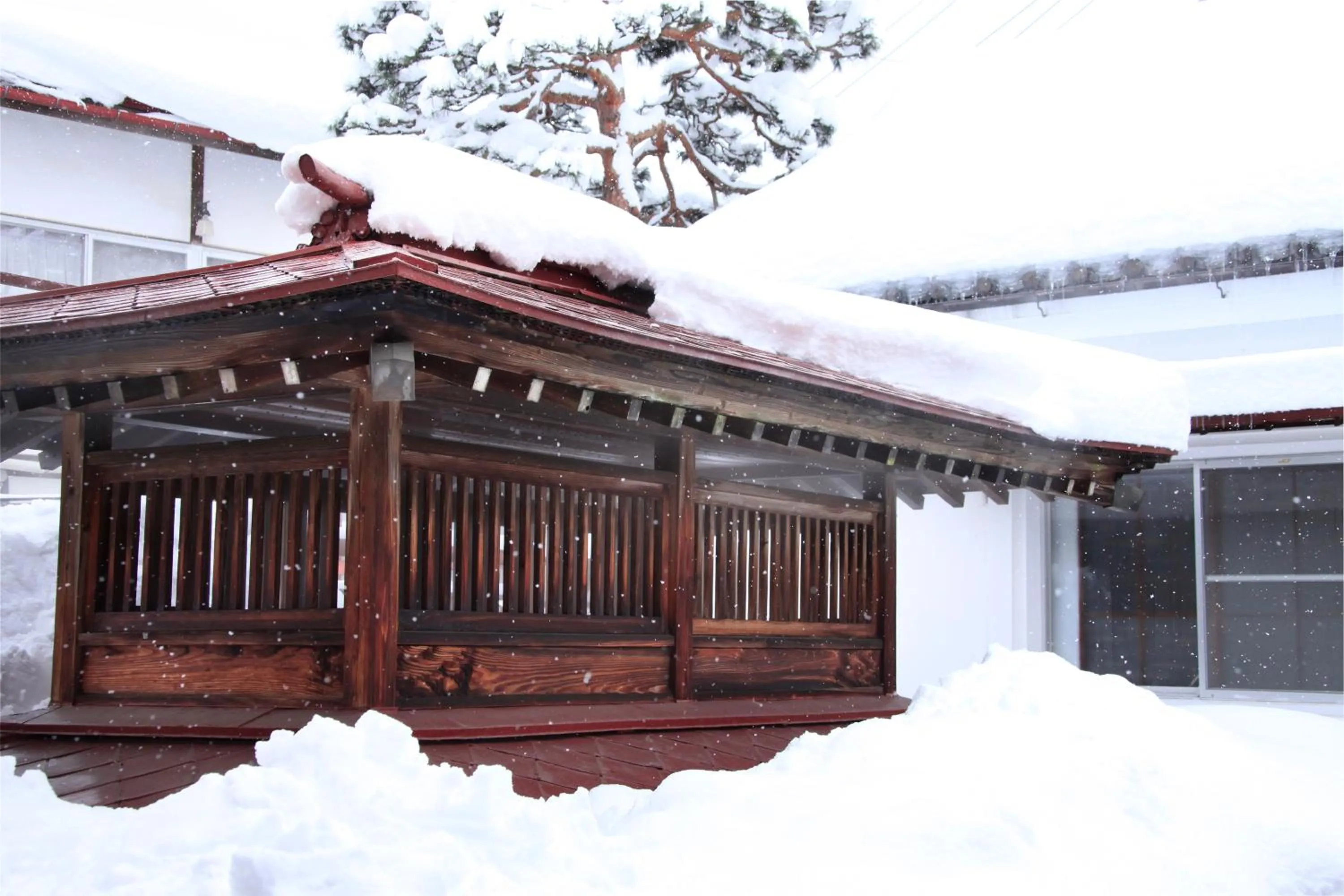 Winter in Yudanaka Seifuso
