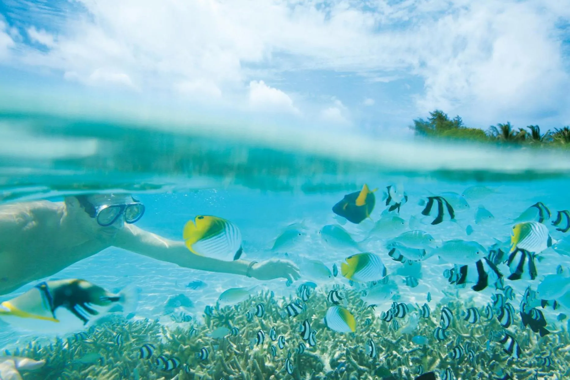 Day in LUX* South Ari Atoll Resort & Villas