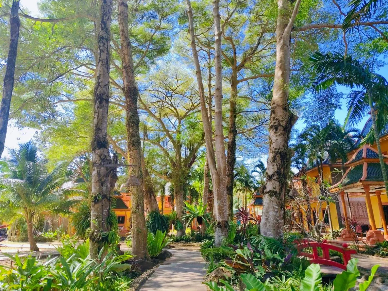 Garden in Coconut Beach Resort, Koh Chang