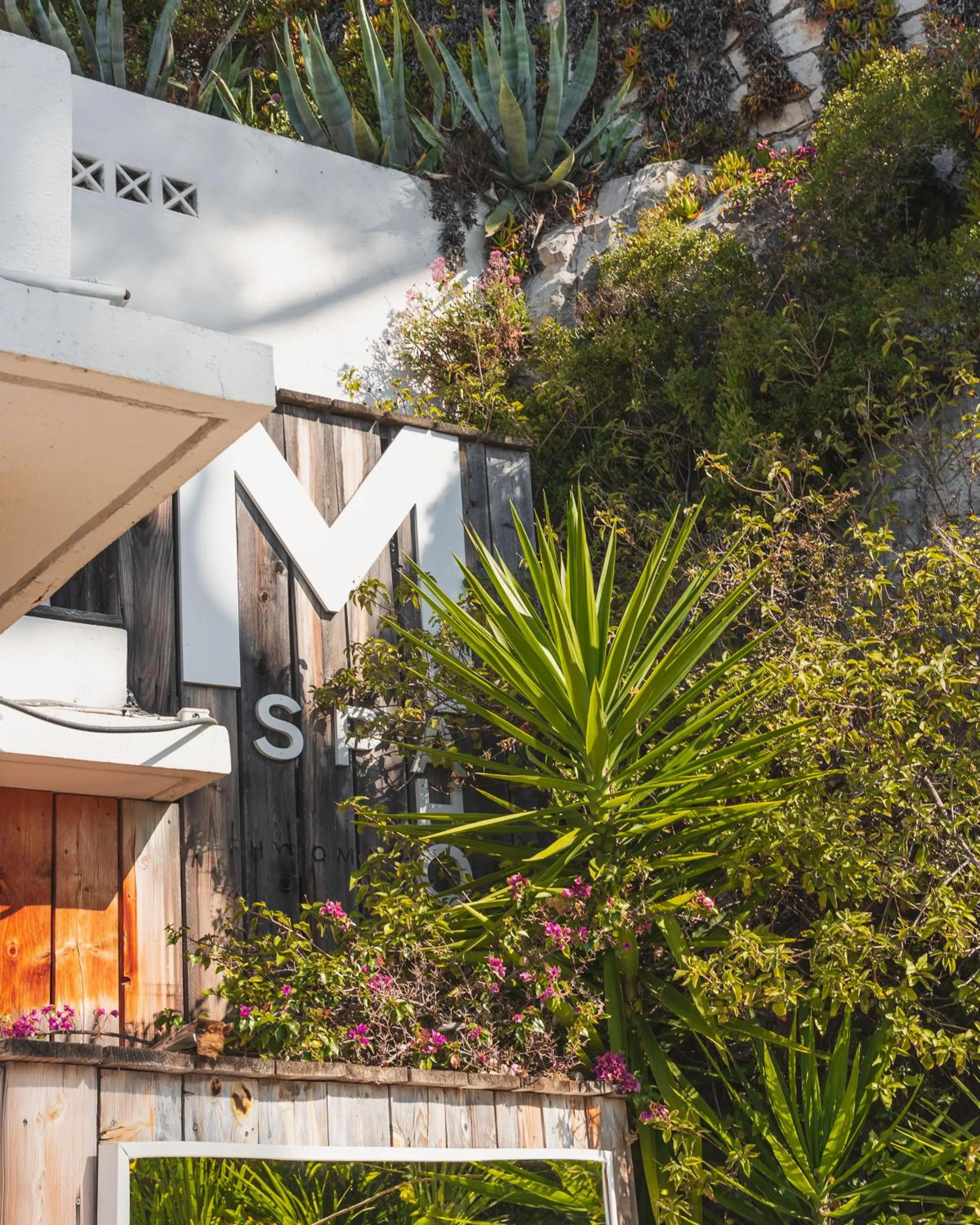 Restaurant/places to eat in Hotel de La Plage - Mahogany