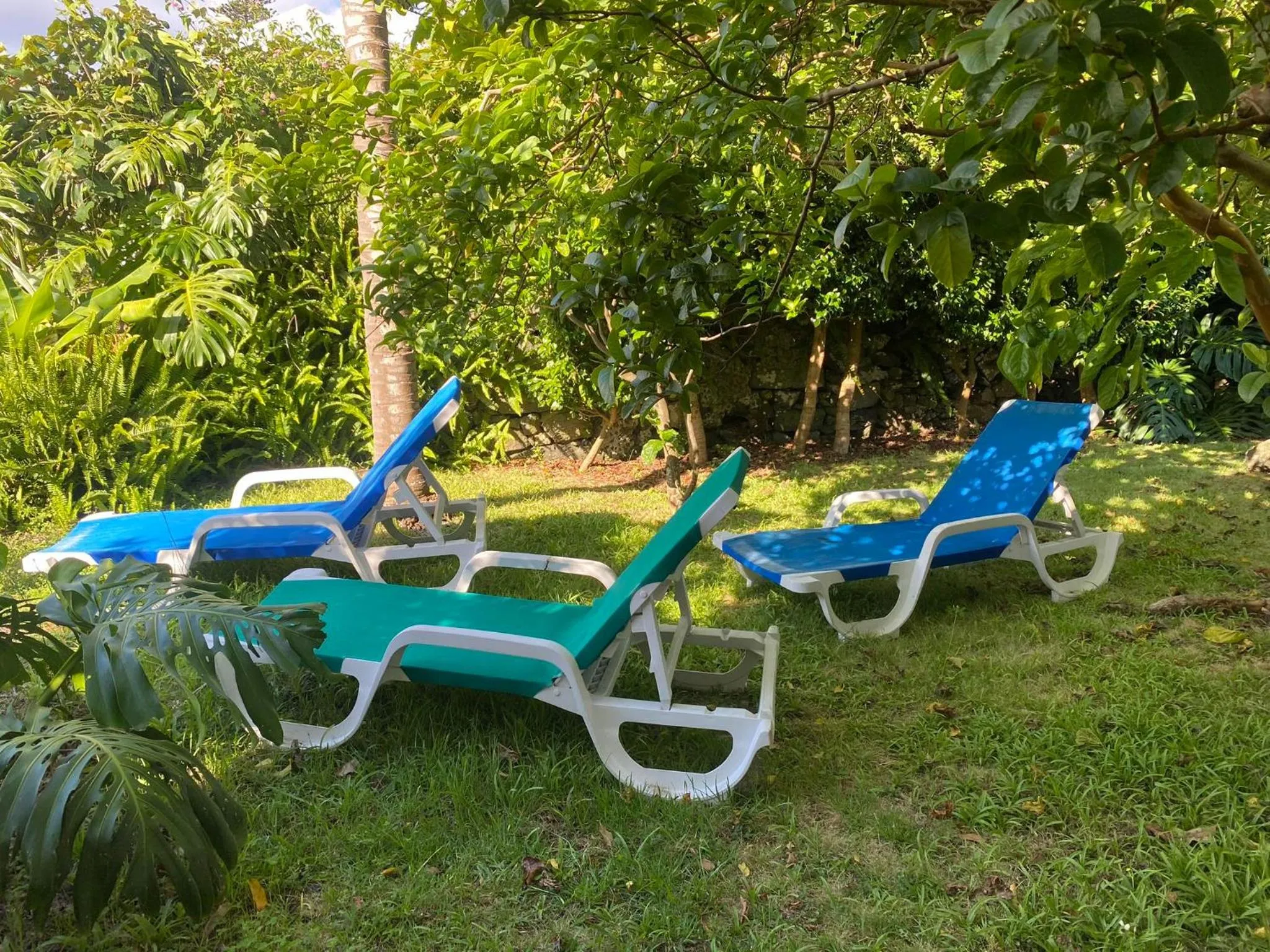 Garden in Apartamentos Turisticos Verdemar