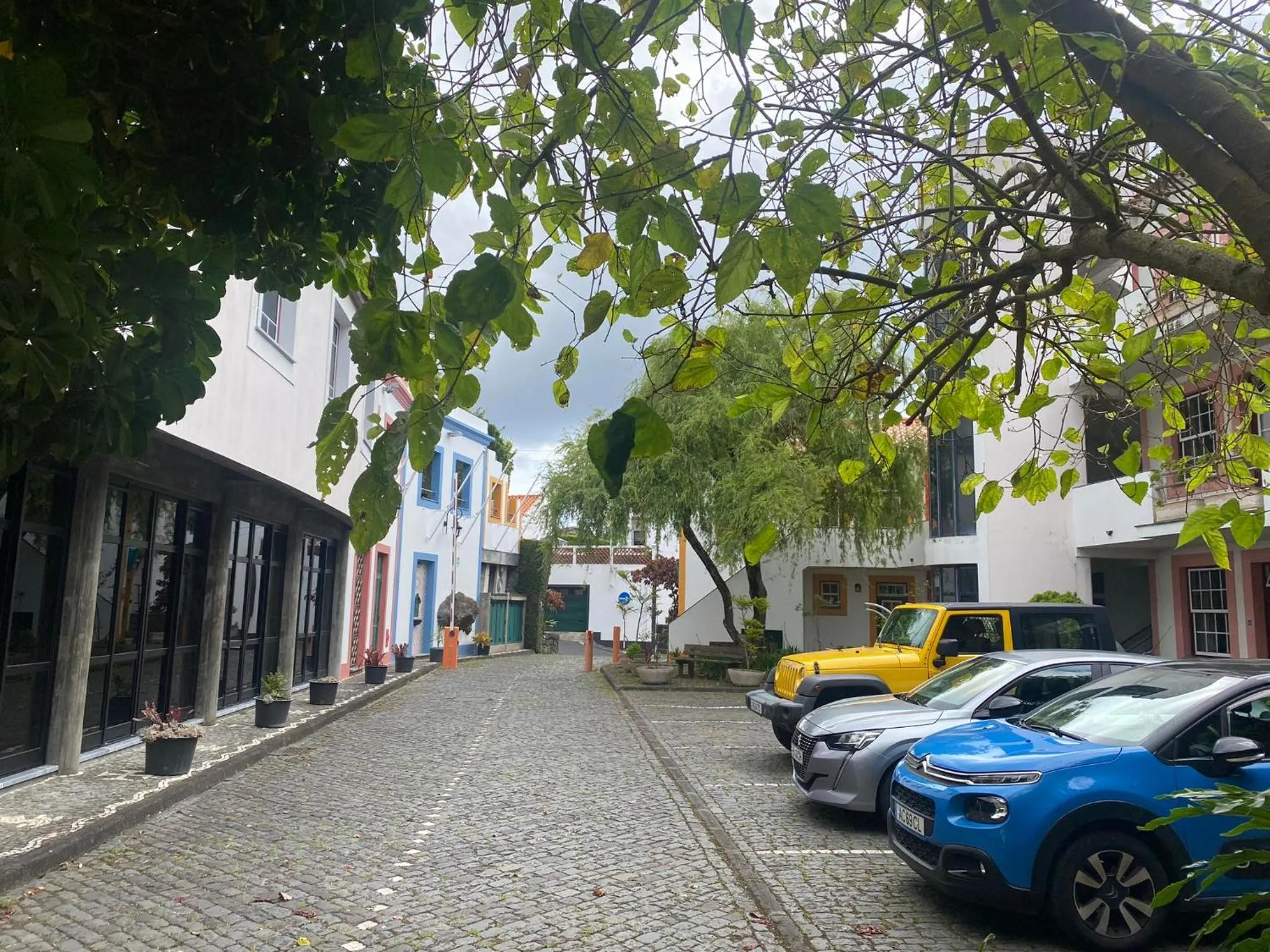 Patio in Apartamentos Turisticos Verdemar