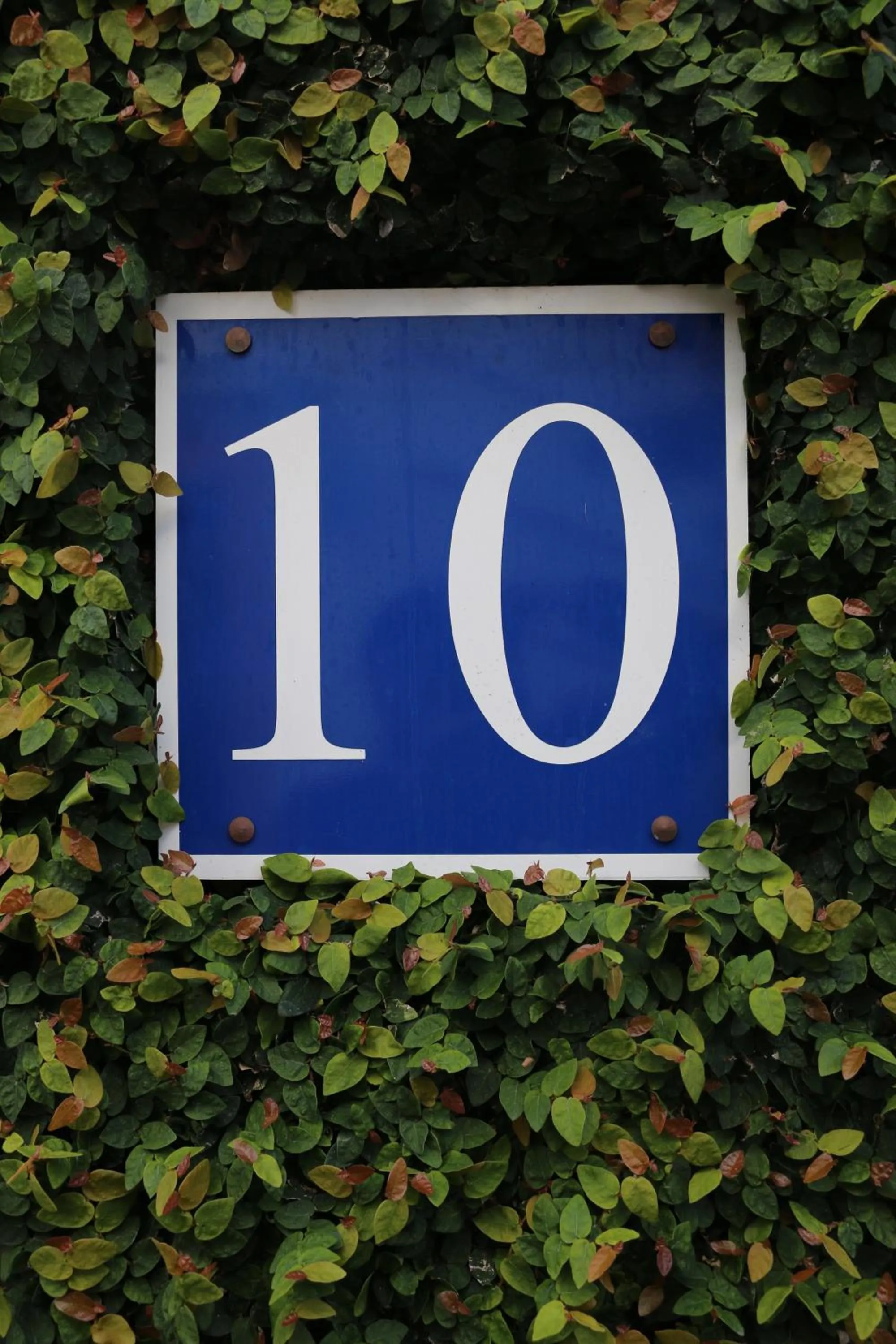 Facade/entrance in Apartamentos Turisticos Verdemar