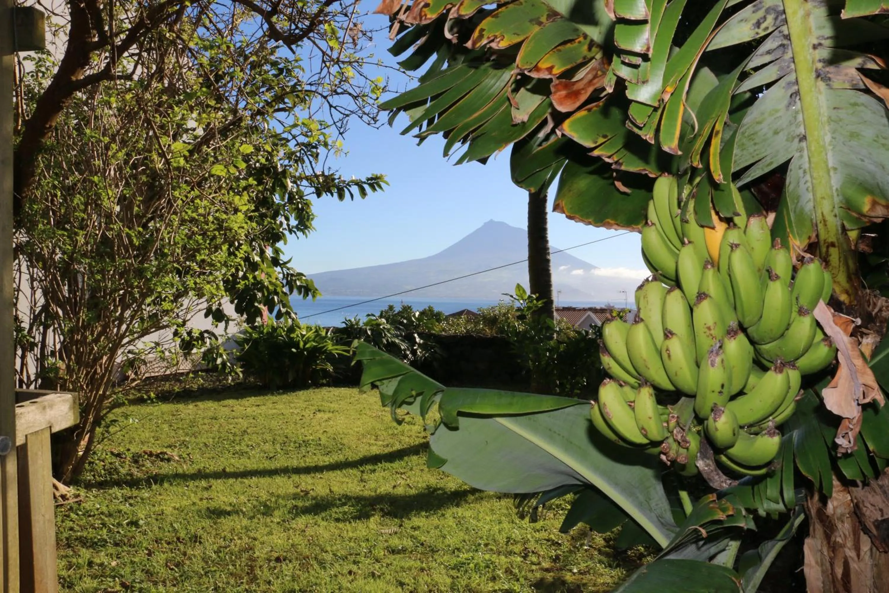 Facade/entrance in Apartamentos Turisticos Verdemar