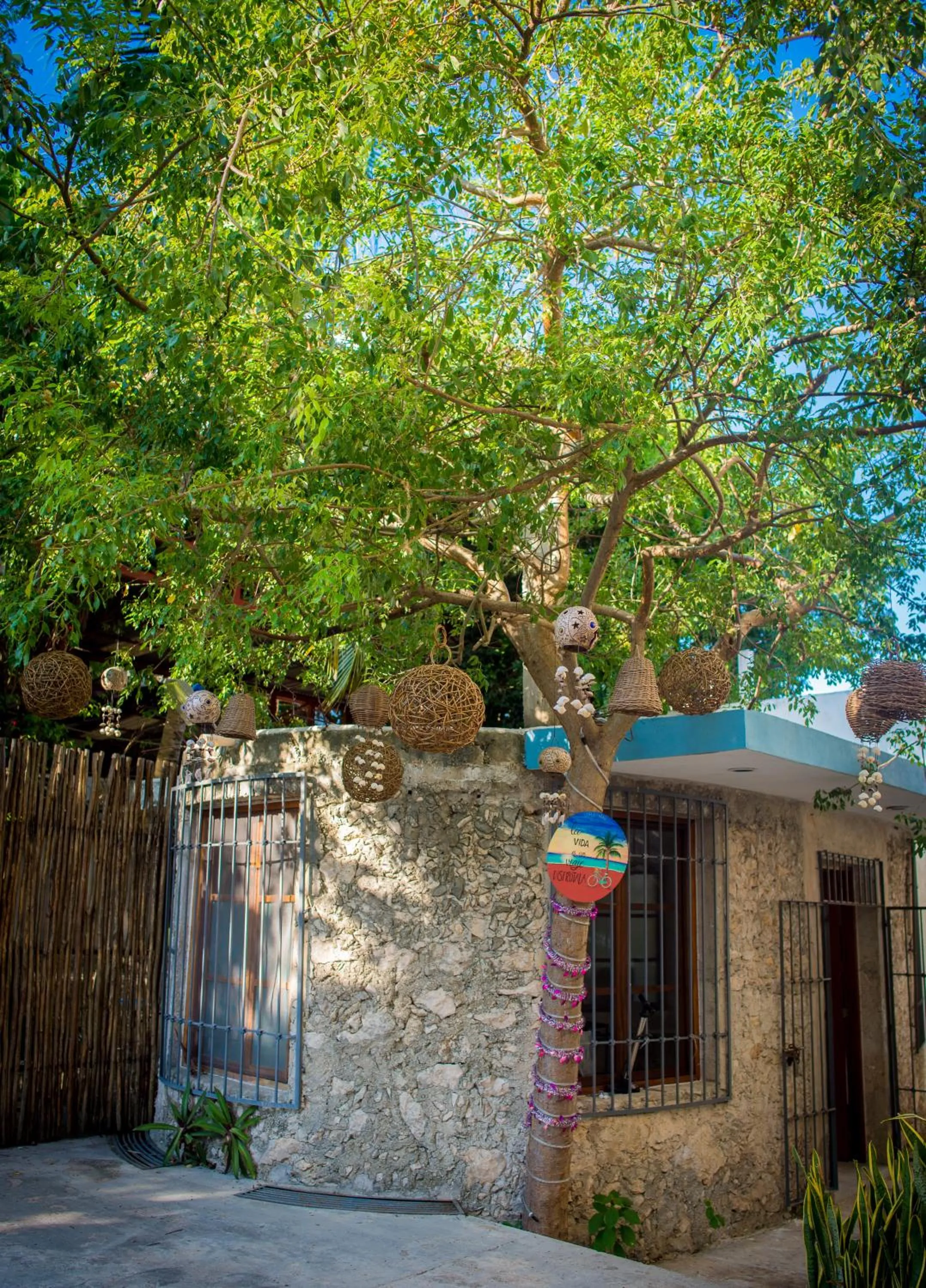 Off site in Suites Cielo y Mar