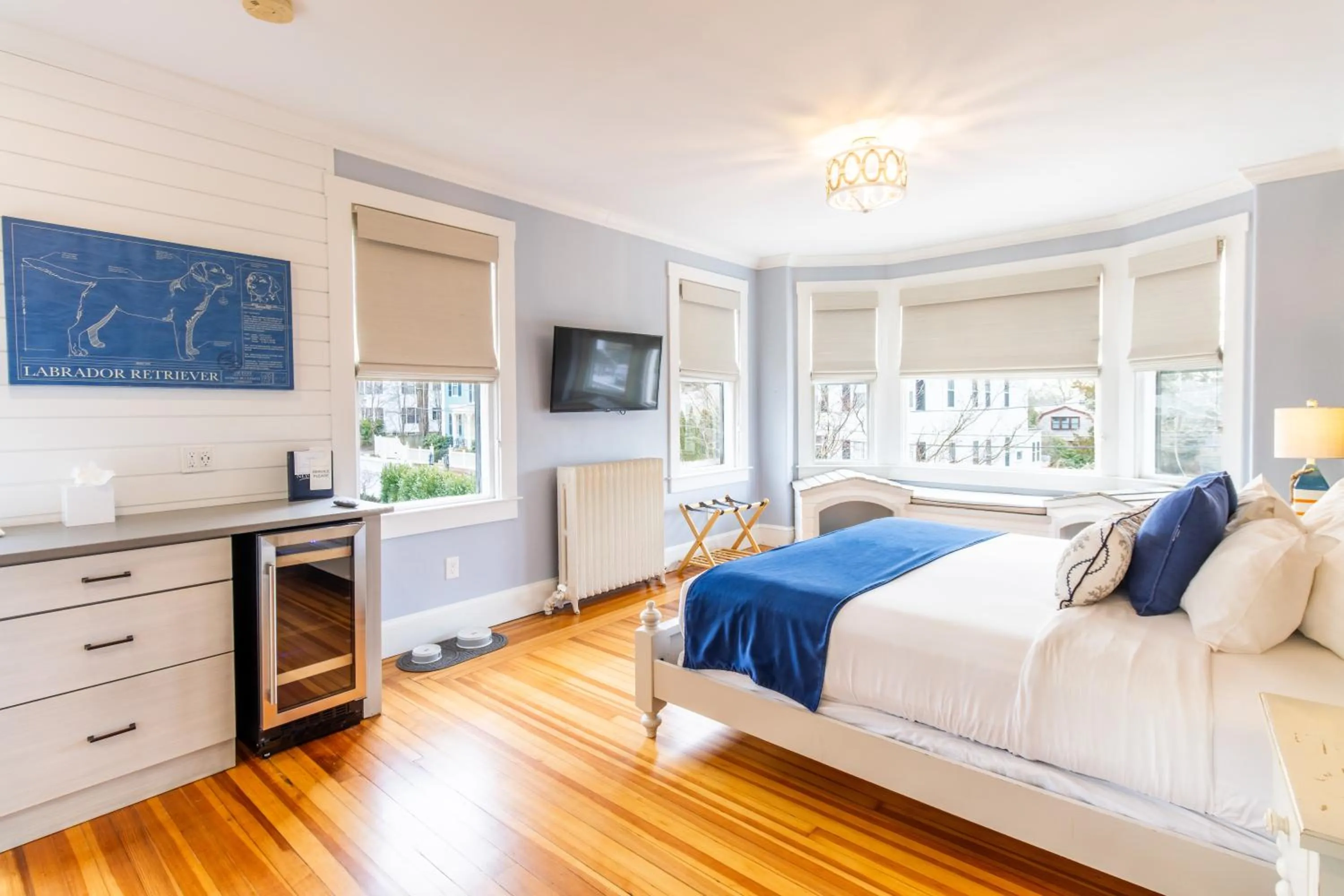 Bed in Paws on Pelham