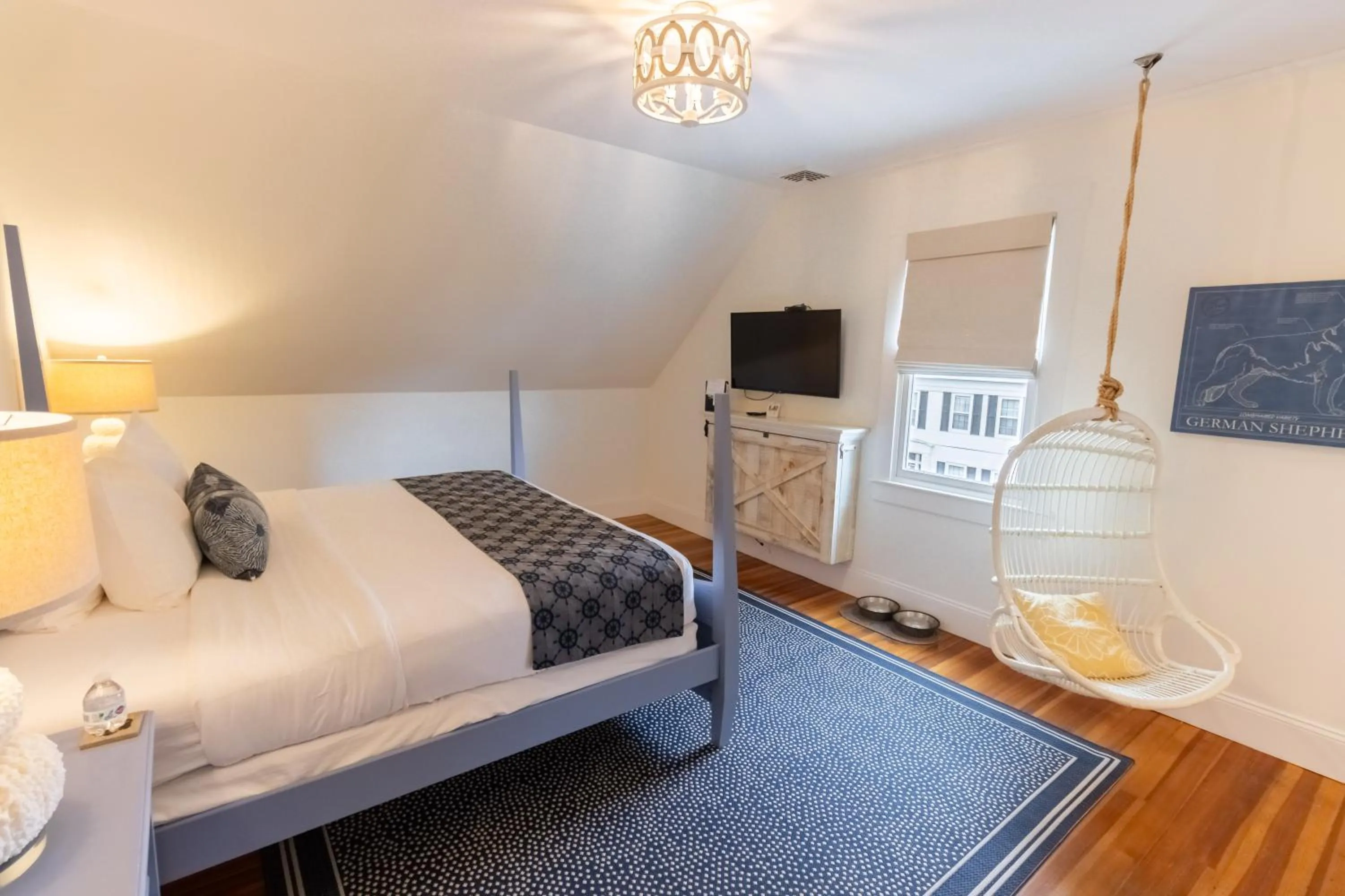 Bed in Paws on Pelham