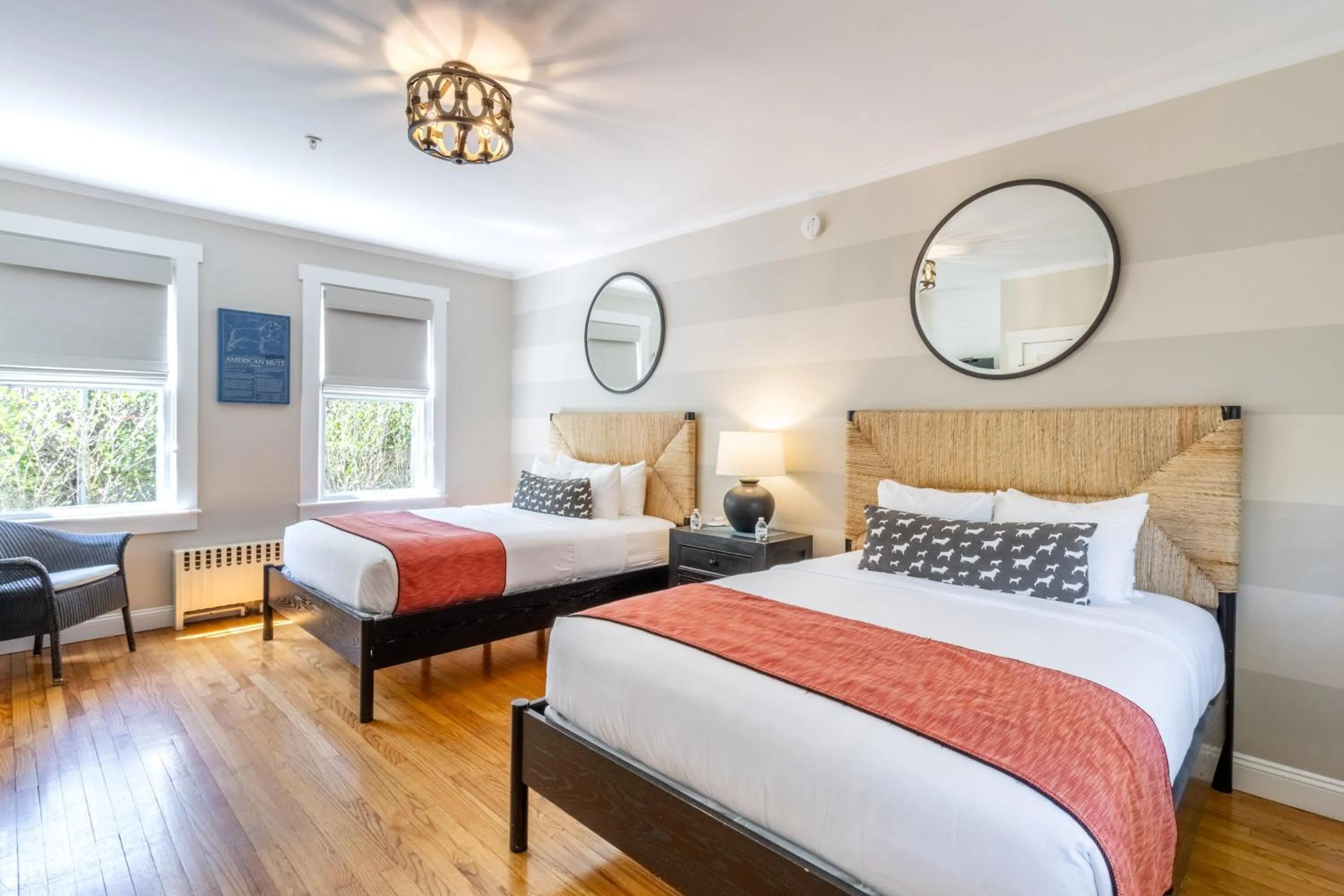 Bed in Paws on Pelham