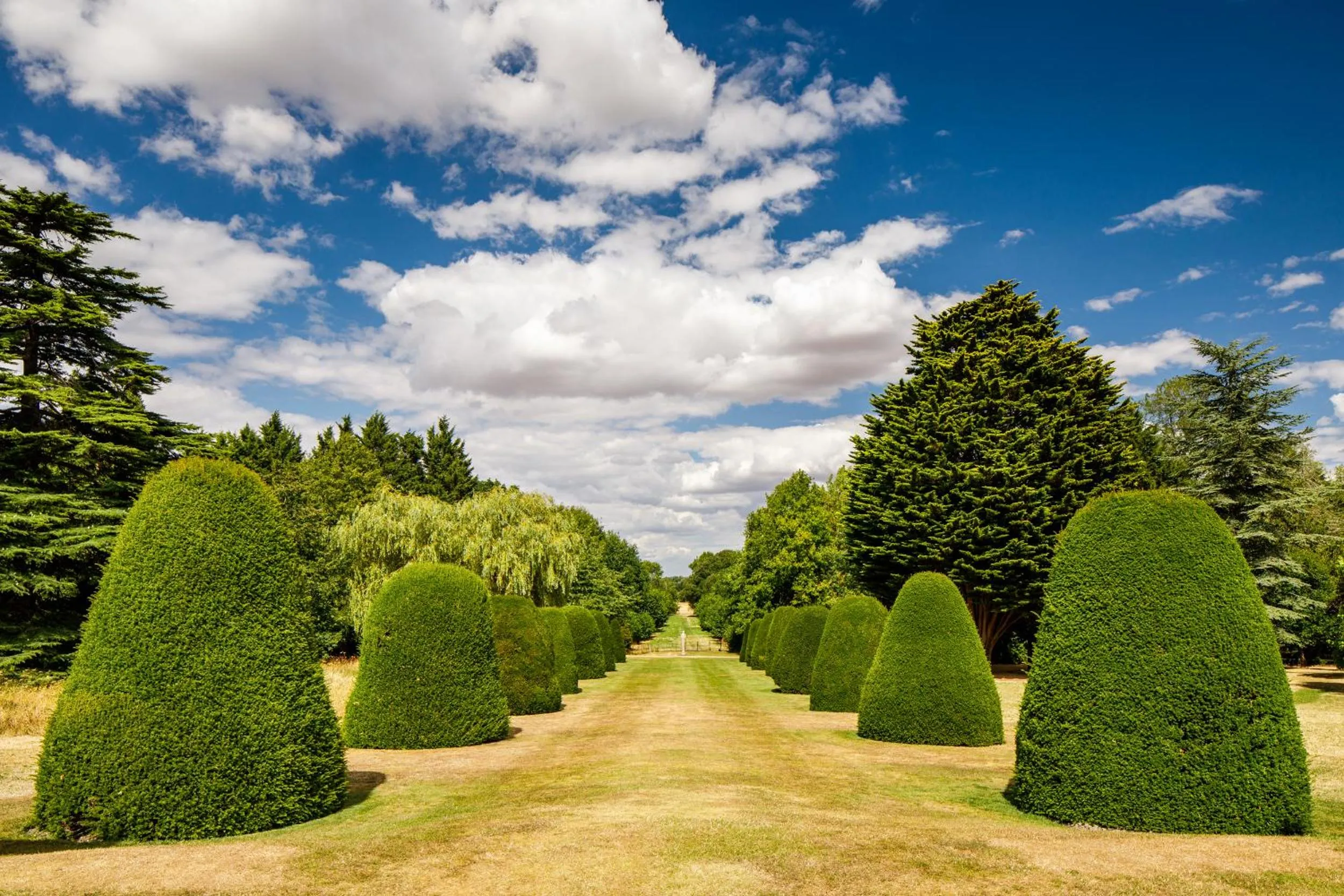 Garden in Madingley Hall