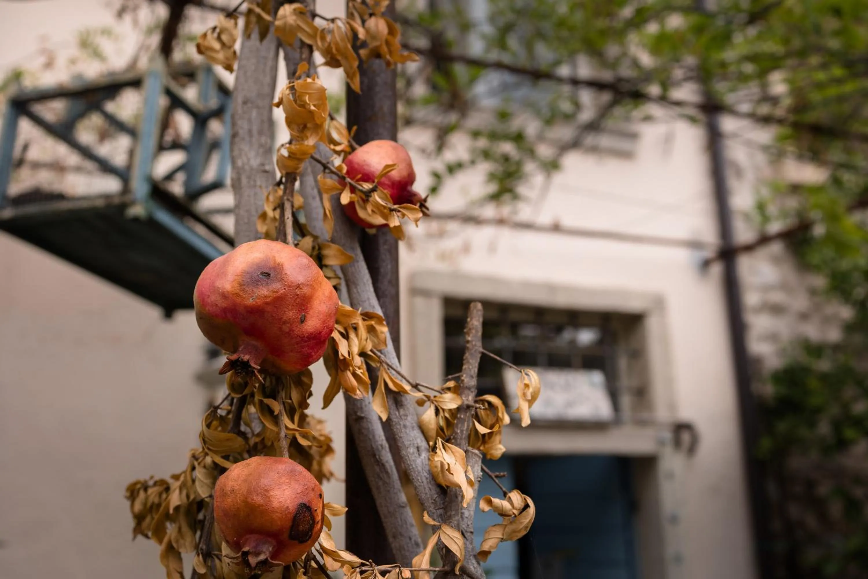 Property building in B&B Corte del Mincio