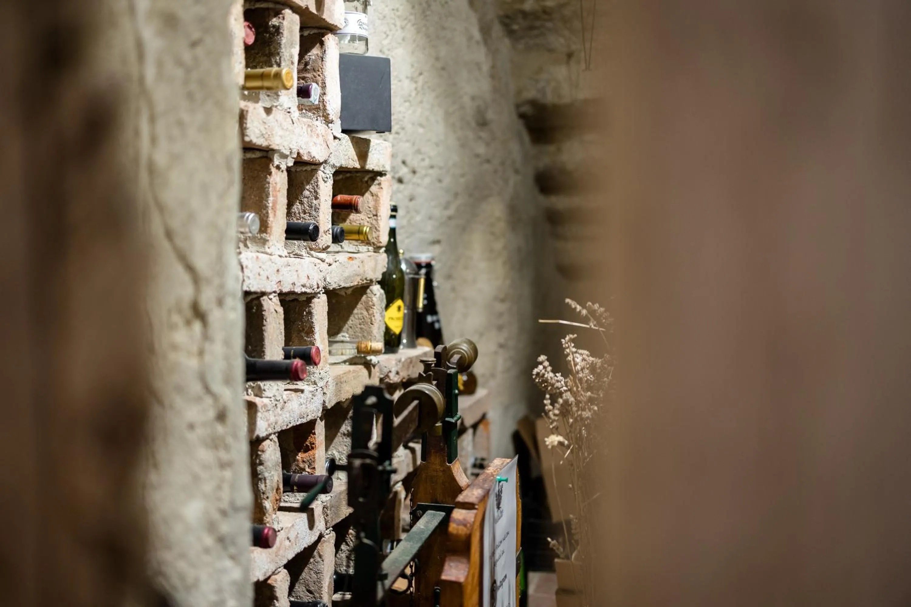 Day in B&B Corte del Mincio