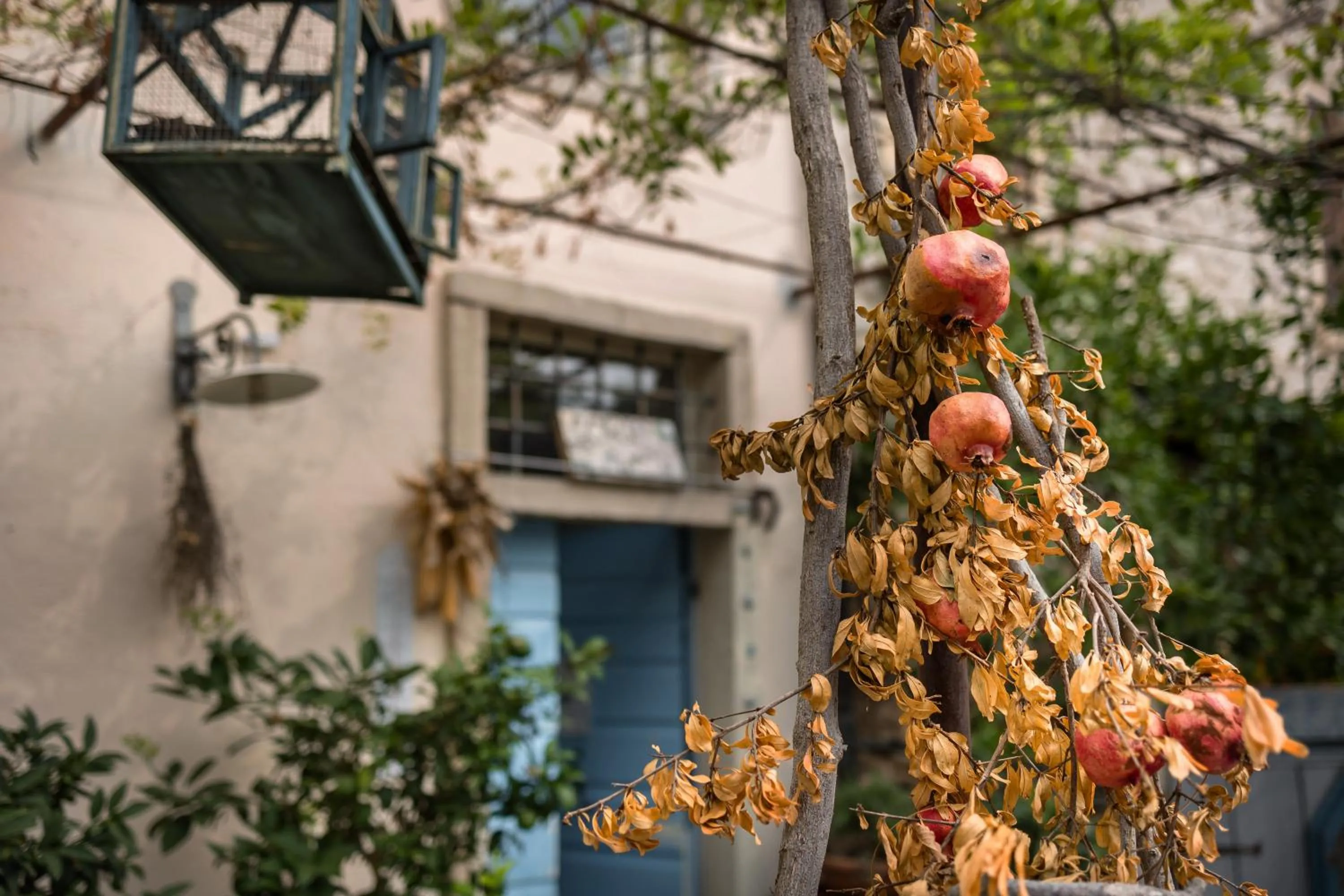 Garden in B&B Corte del Mincio
