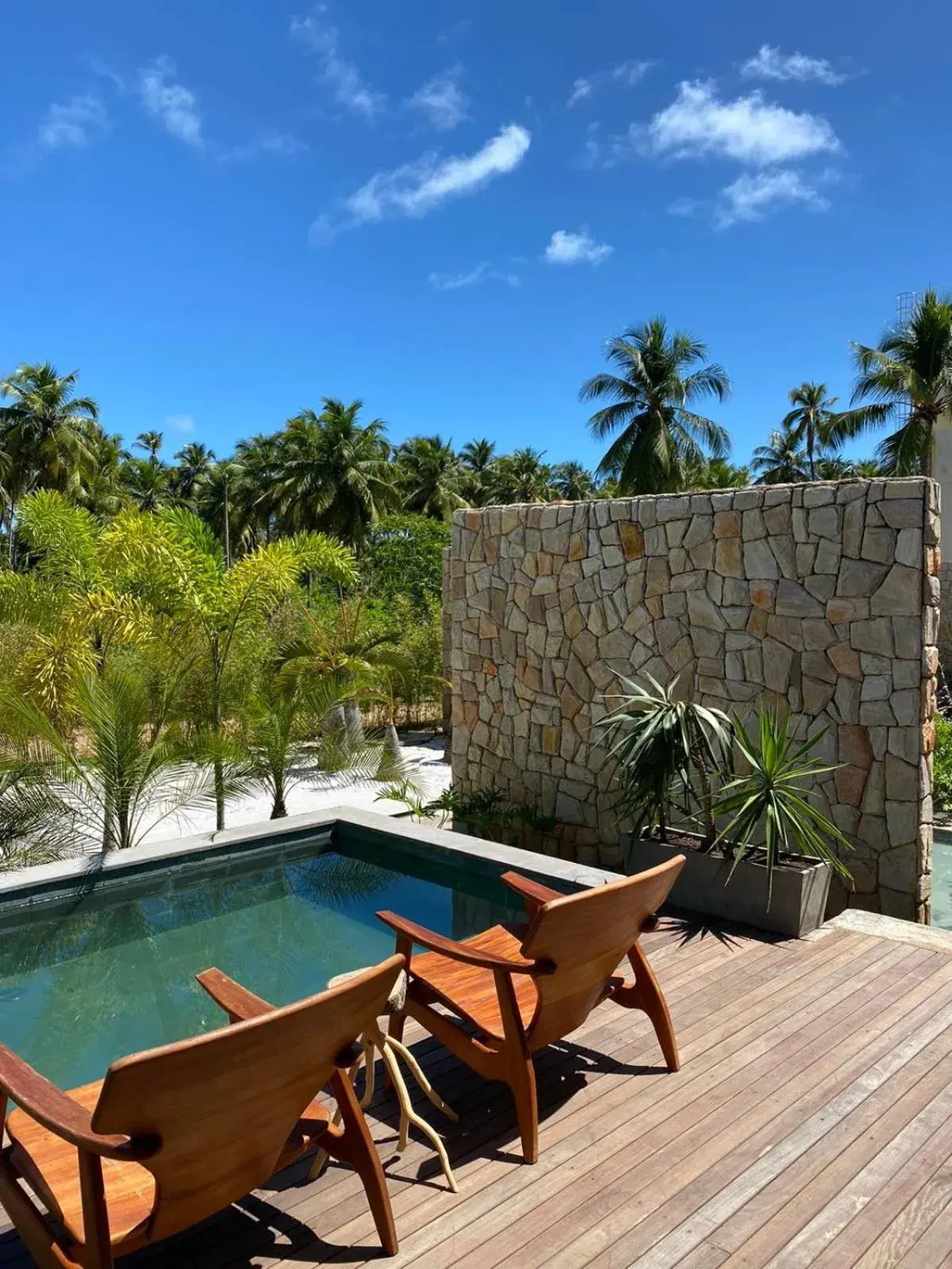 Suite with Private Pool in Pedras Do Patacho Hotel Boutique Experience Suite with Private Pool in Pedras Do Patacho Hotel Boutique Experience